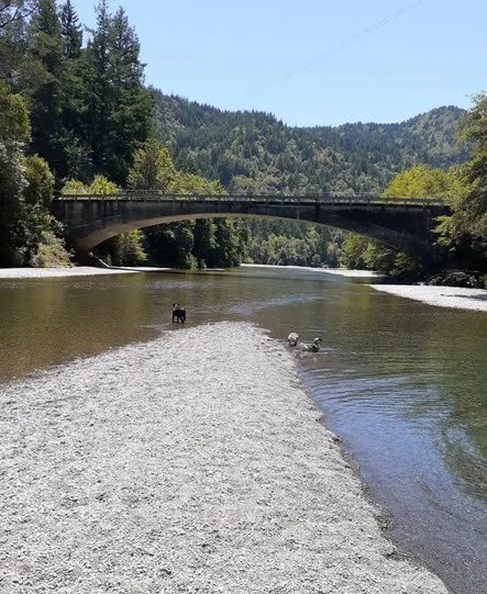 downstream in summer