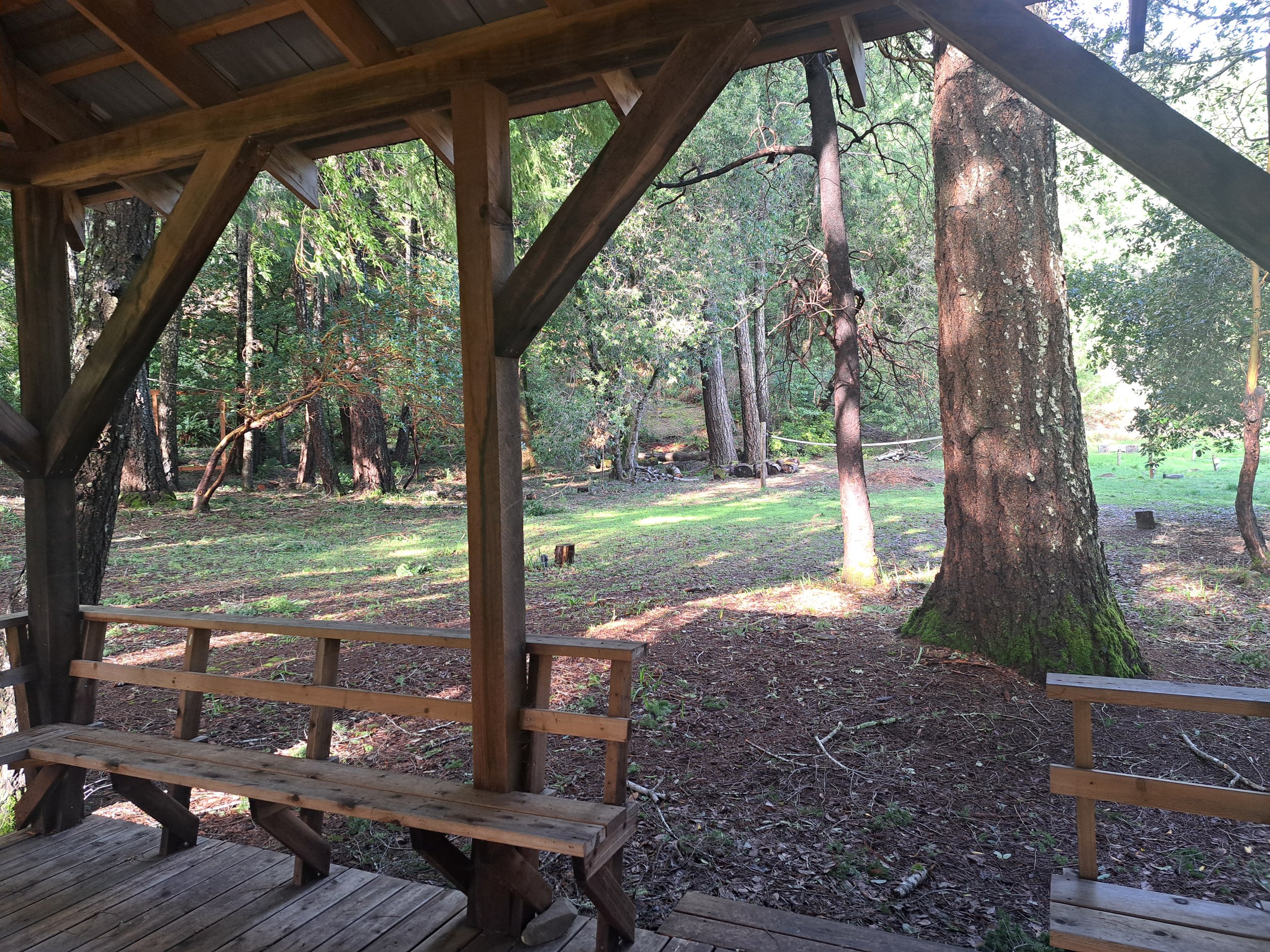 bay trees from gazebo