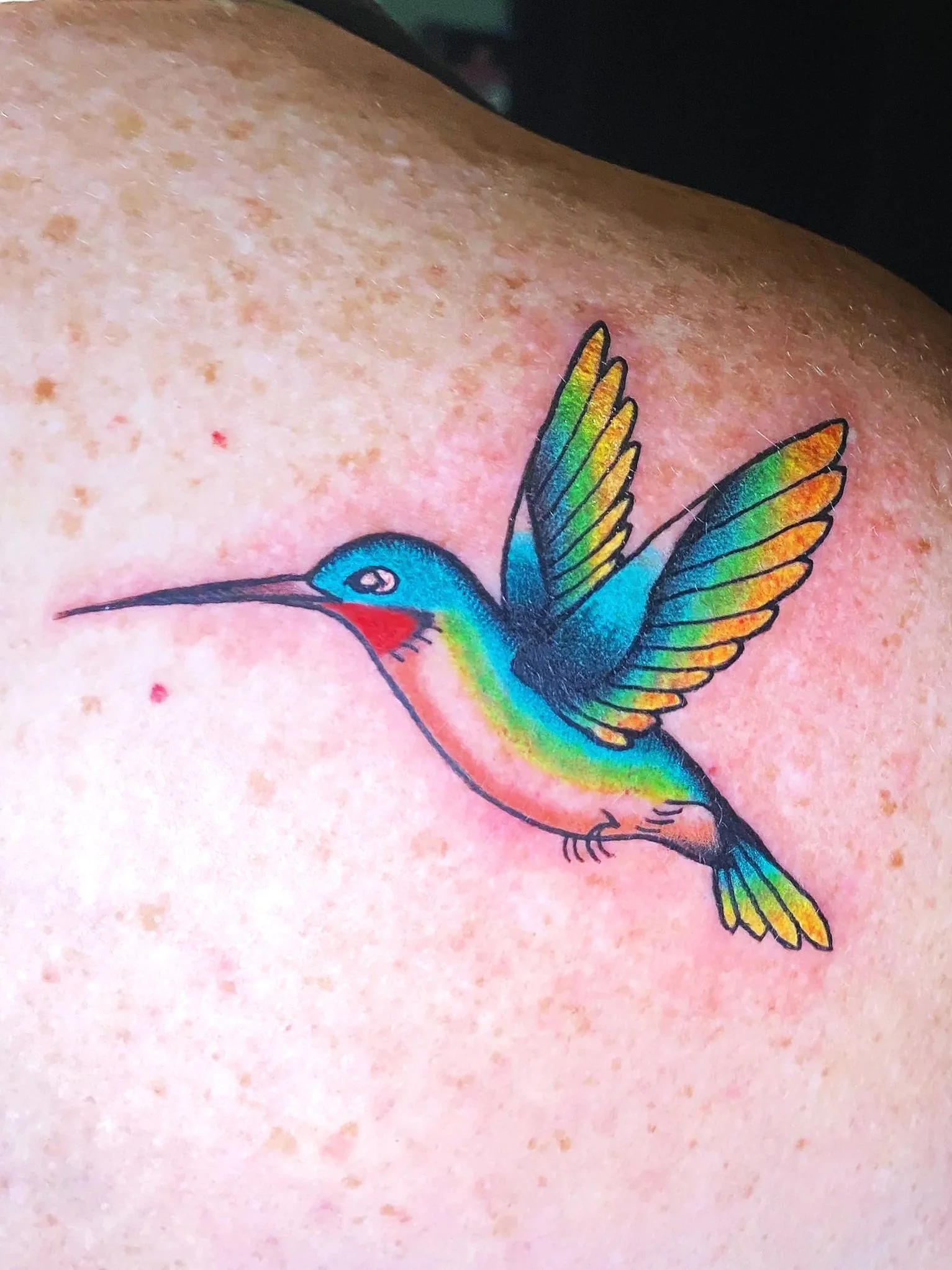carlee grace tattoos american traditional hummingbird humming bird color pretty feminine hoschton ga georgia tattoo artist  north georgia winder brasleton homer