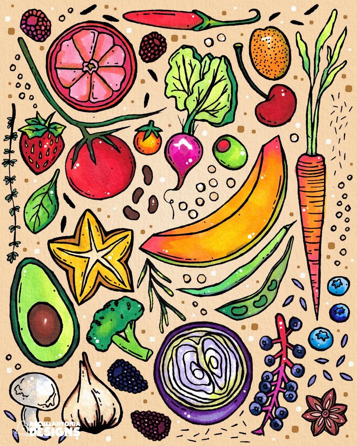 Food Illustrations