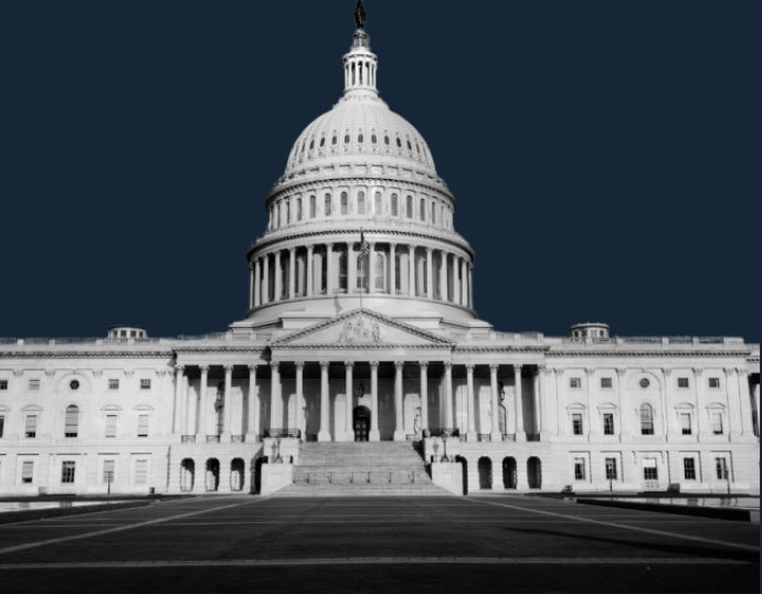 The United States Capitol building in Washington D.C.