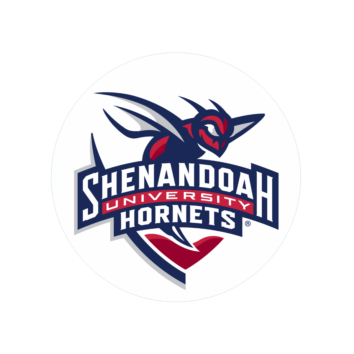 Chesapeake University Hornets logo featuring a stylized hornet head in navy blue, red, gray, and white with stinger and wings, and the words 'Chesapeake University Hornets' in bold lettering.