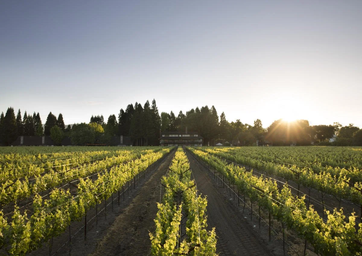 Wedding Ceremony & Reception