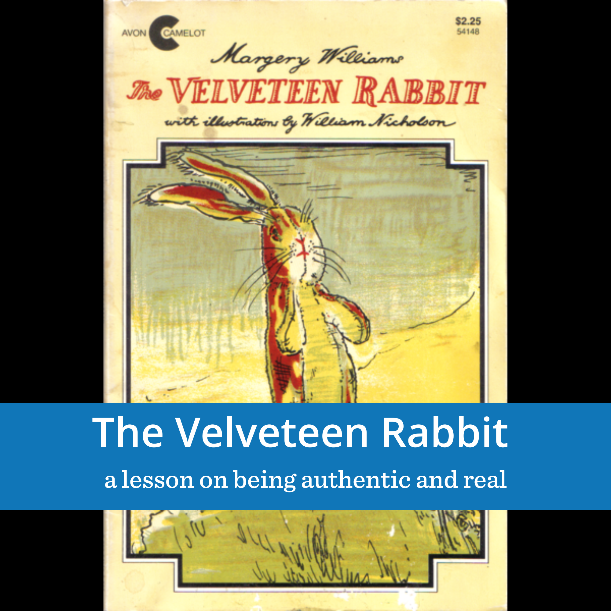 The Velveteen Rabbit copy.png