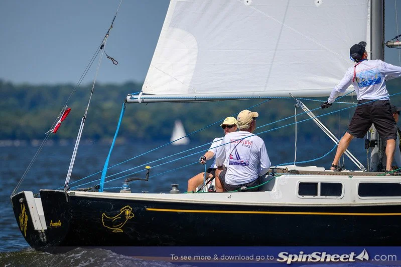 Three people sailing a black sailboat with a white sail on a body of water, with one person adjusting the sail and two others sitting on the boat.