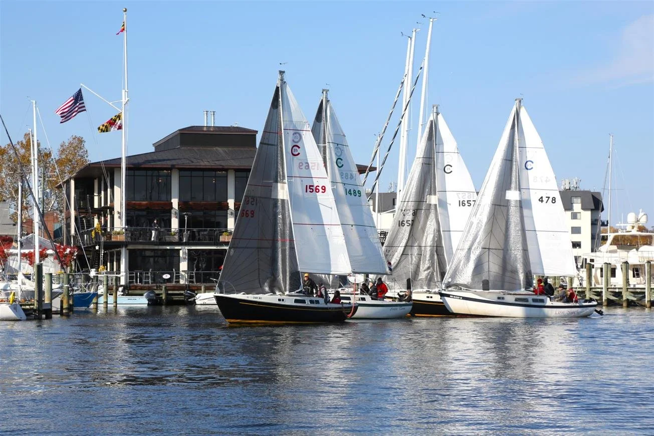 Several sailboats docked at a marina with a modern building in the background, flags flying, and calm water reflecting the boats.