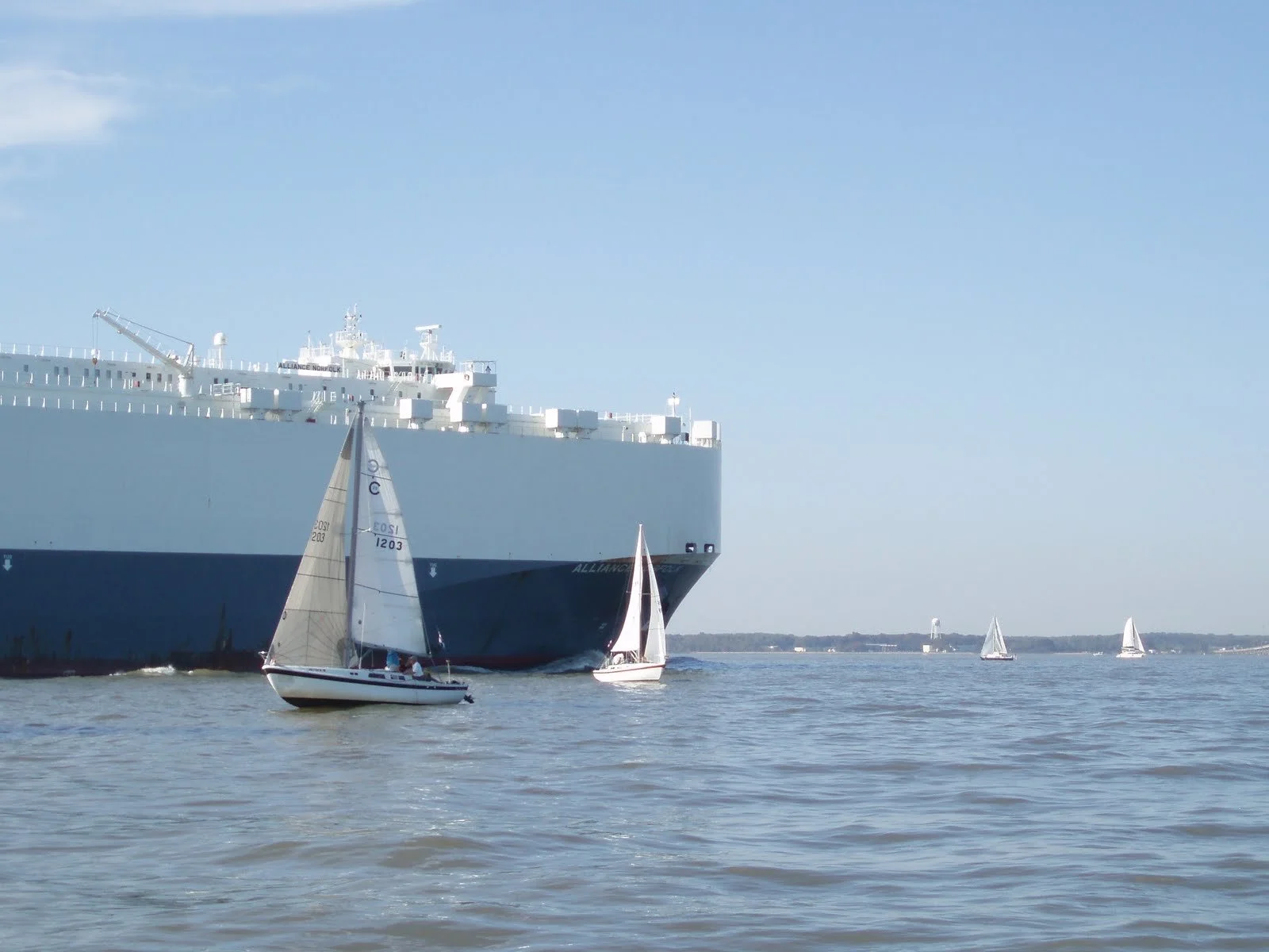 Large white cargo ship with smaller sailboats sailing on the water in front of it, under a clear blue sky.