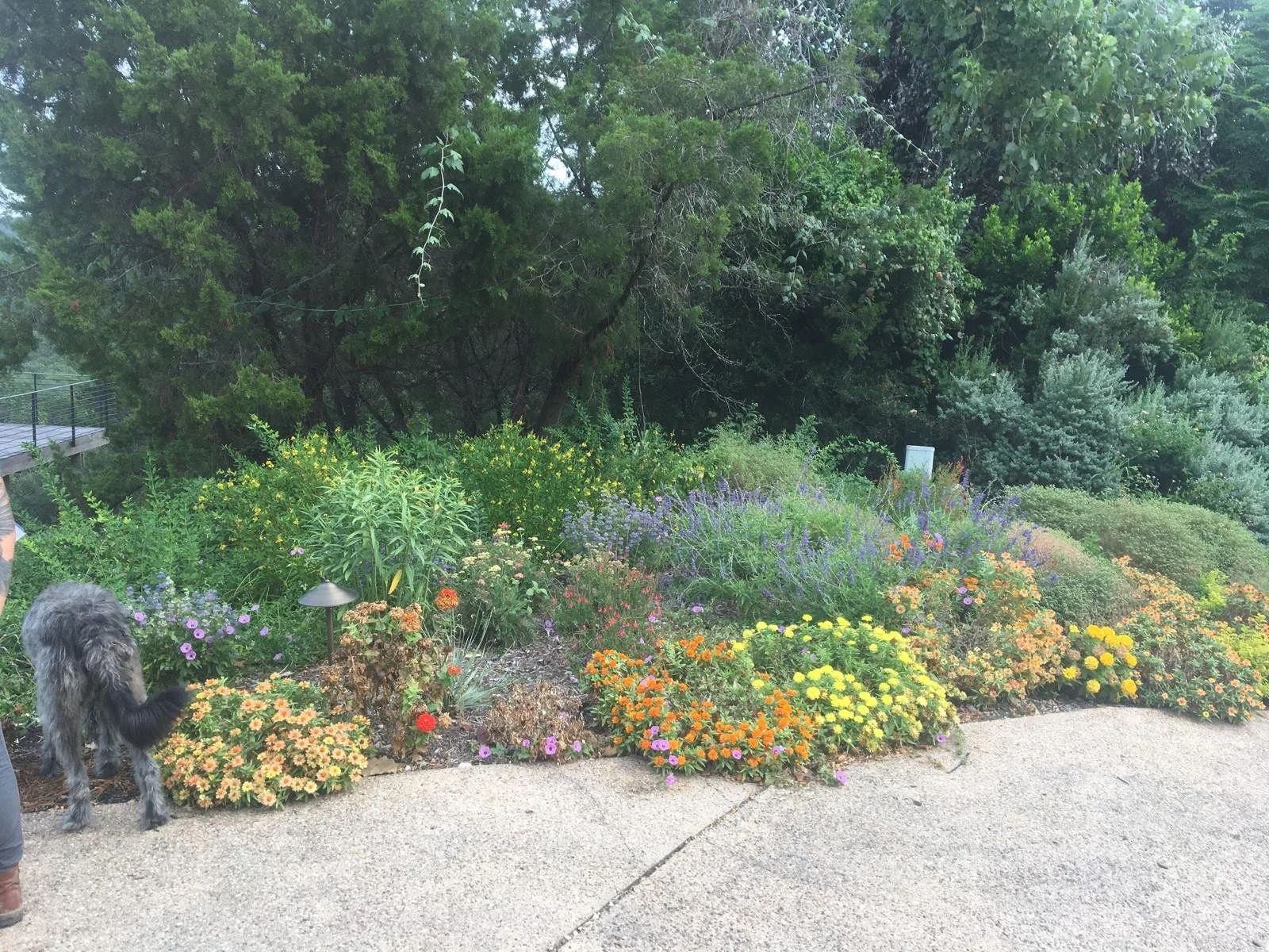 WhatsApp Image 2026-01-02 at 17.09.25.jpeg