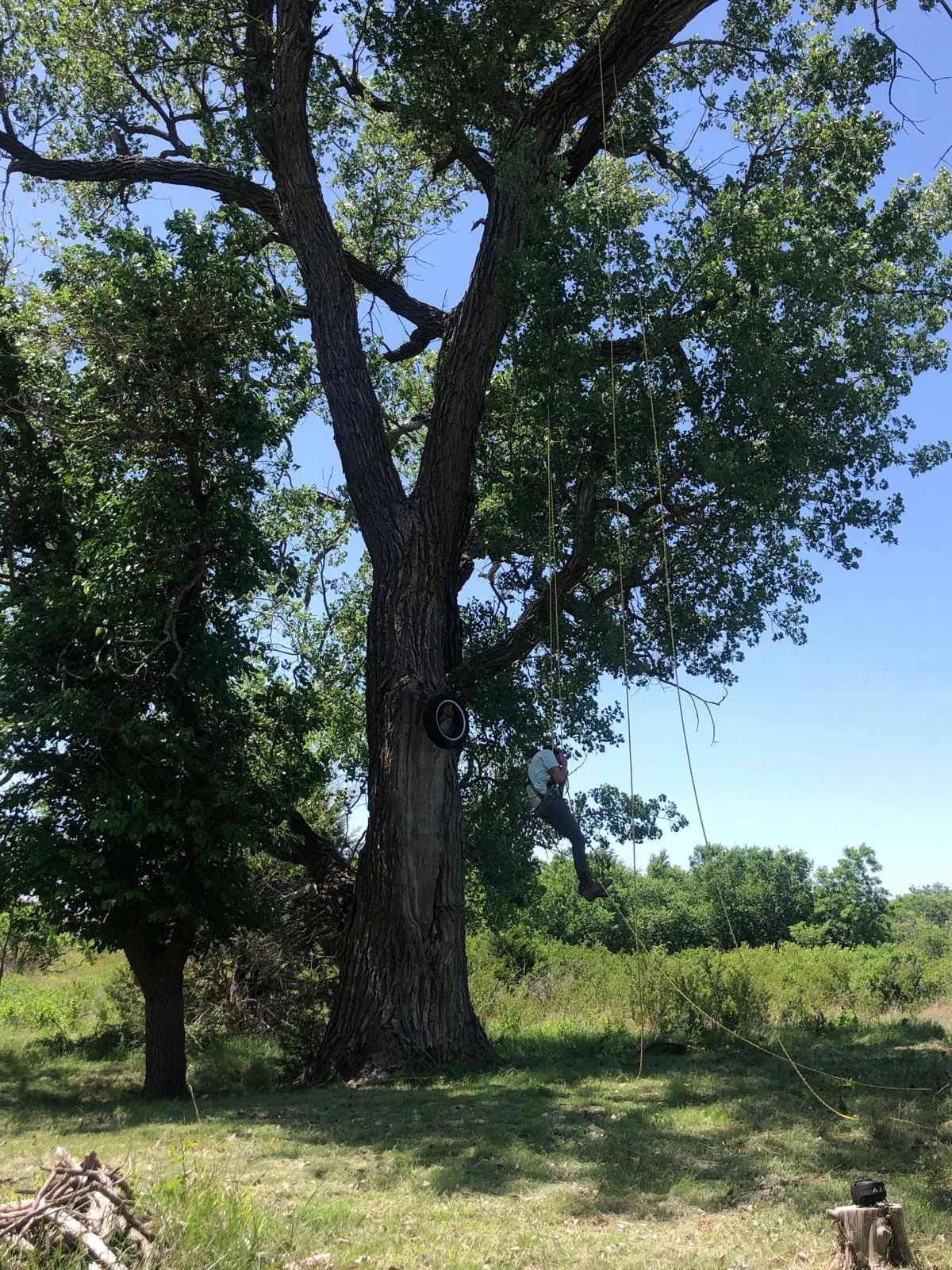 WhatsApp Image 2026-01-02 at 19.14.57.jpeg