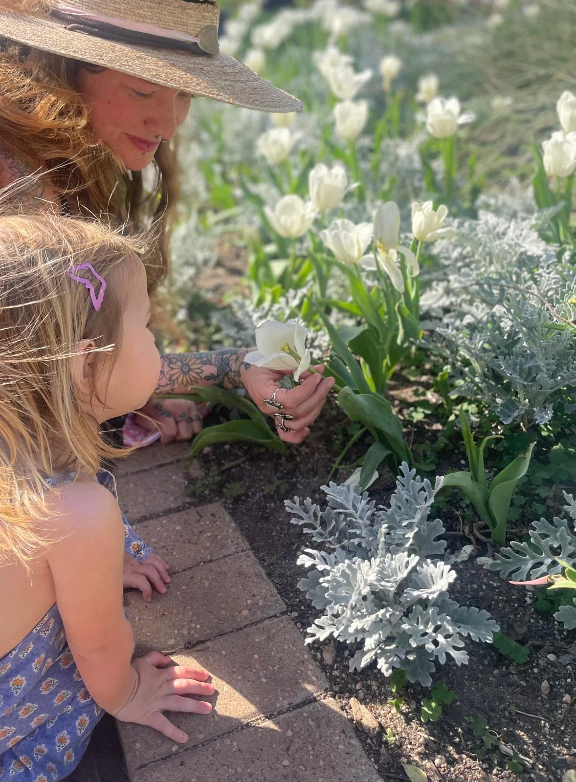 WhatsApp Image 2026-01-02 at 18.05.10.jpeg