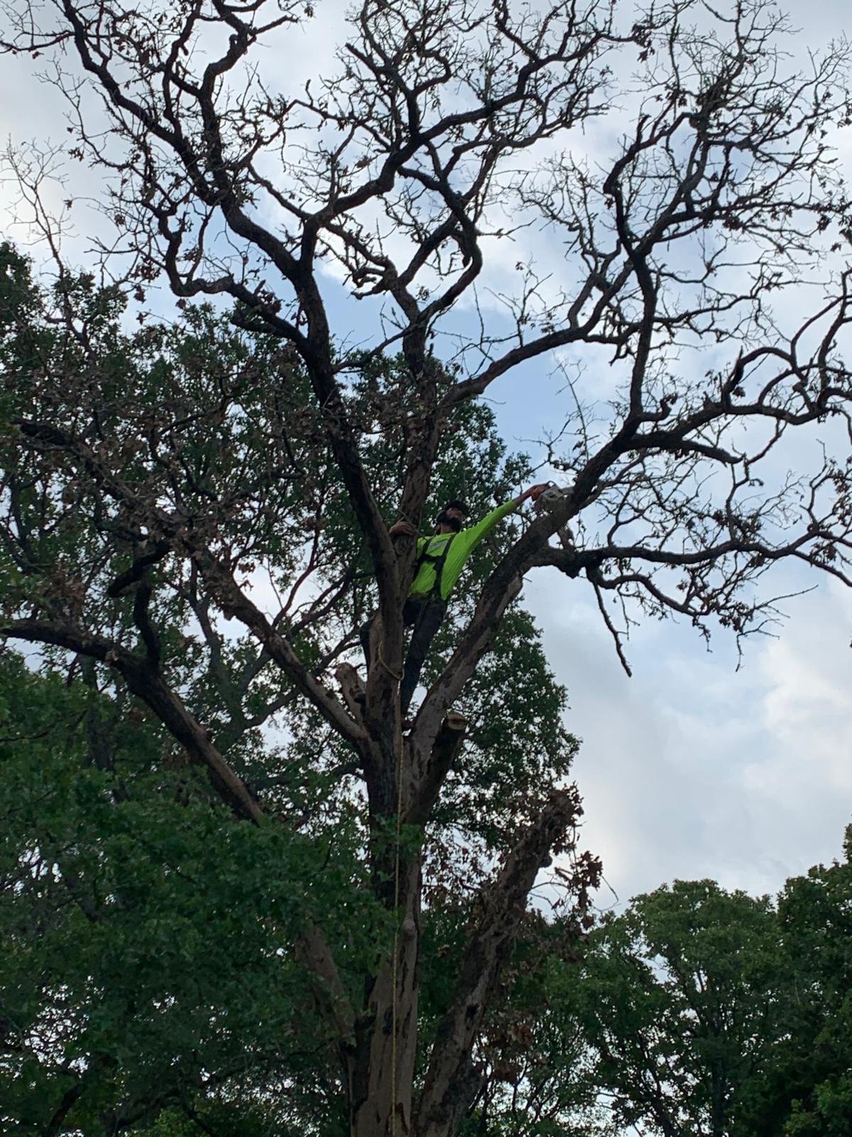 WhatsApp Image 2026-01-02 at 19.16.16.jpeg