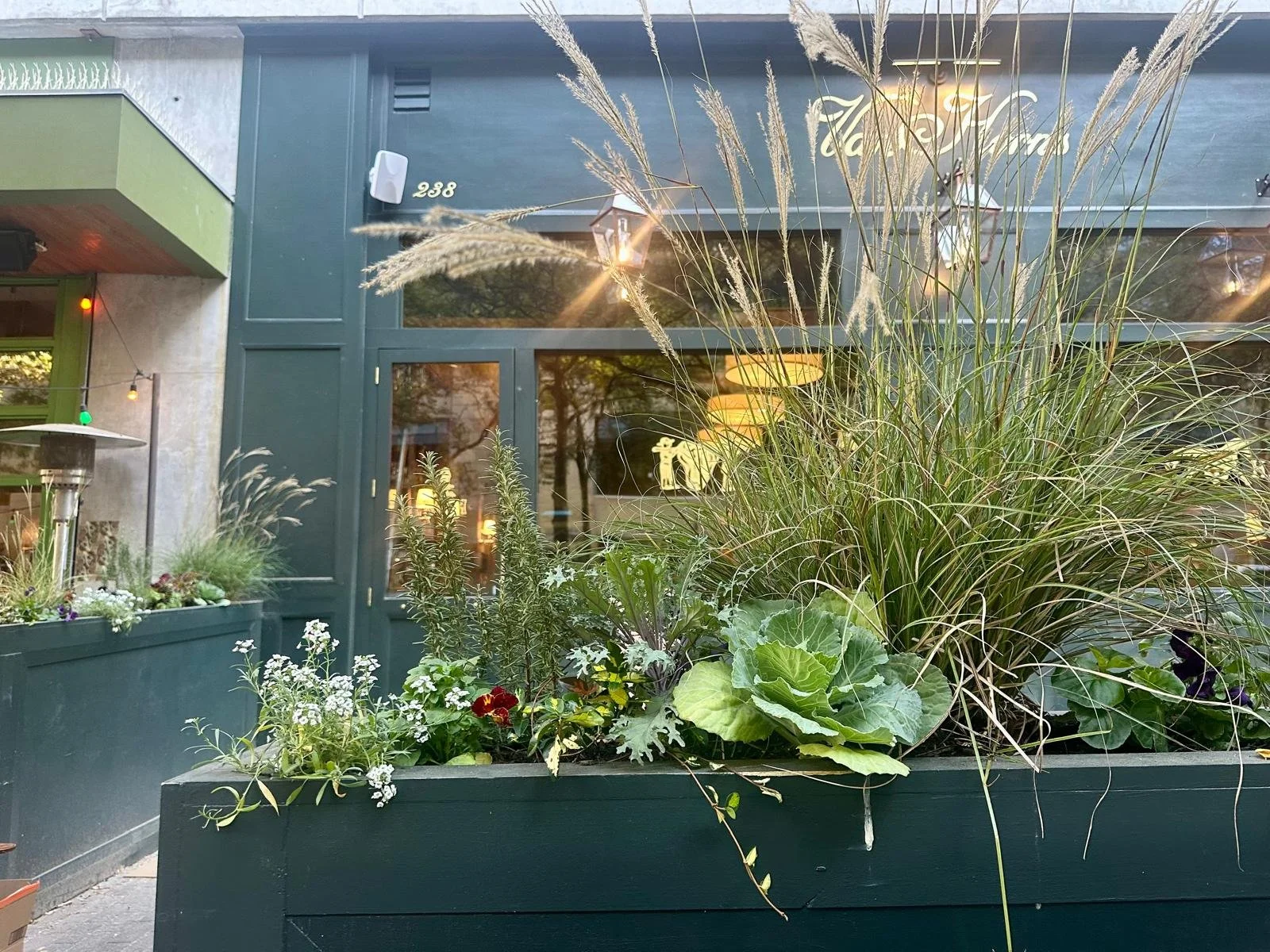 WhatsApp Image 2026-01-02 at 17.02.56.jpeg