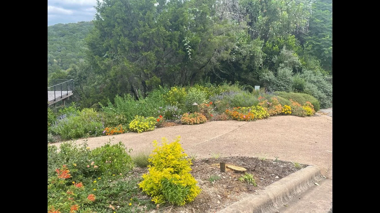 WhatsApp Image 2026-01-02 at 17.09.36.jpeg