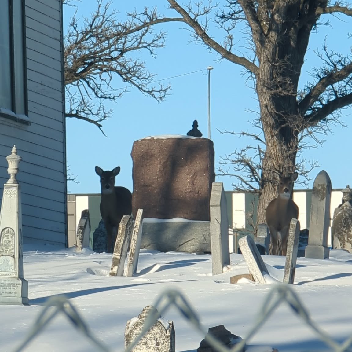 Field recording shenanigans around Winnipeg

(pretending like the batteries did not always die after 5 minutes. @zoom make your recorders heat-proof or something pls)