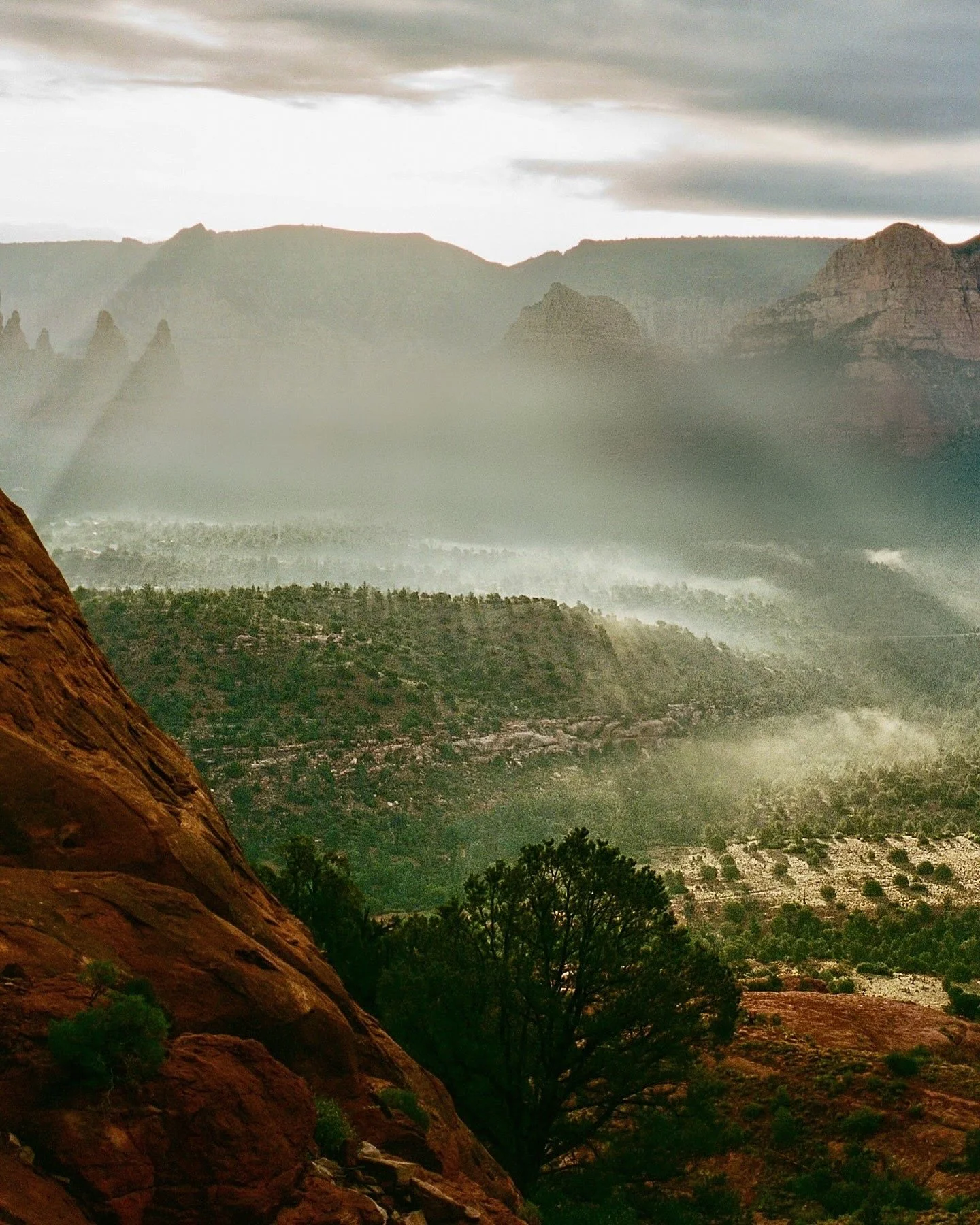 64842E83-29FC-4DCA-B6A1-58498E8E0EDB 2.JPG