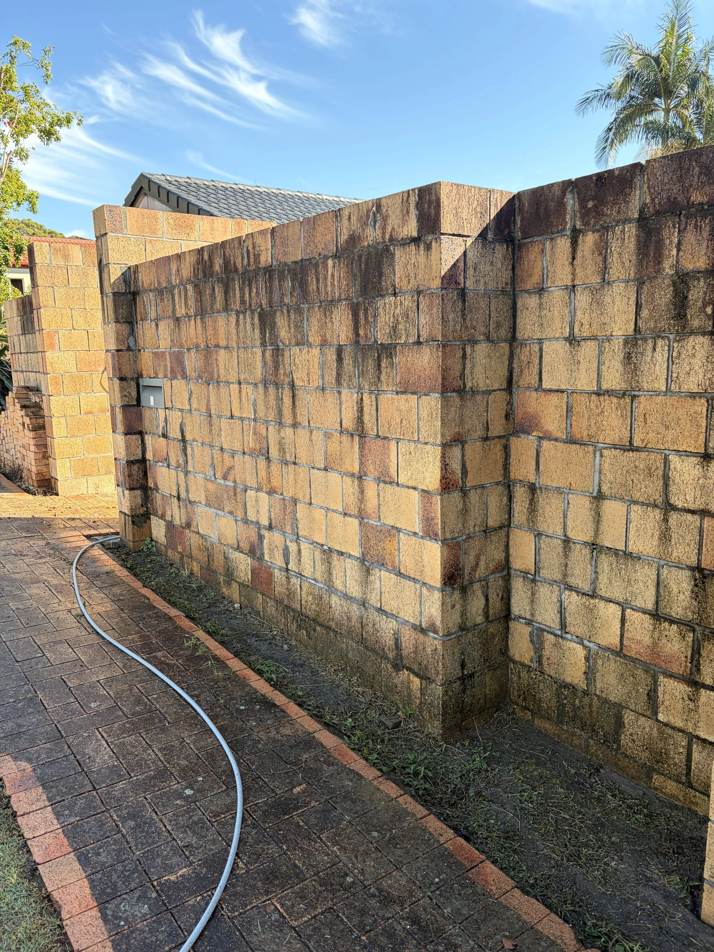 A brick wall along a sidewalk with a hose on the ground, a section of a house with a tiled roof visible behind the wall, and some trees and palm in the background on a sunny day.