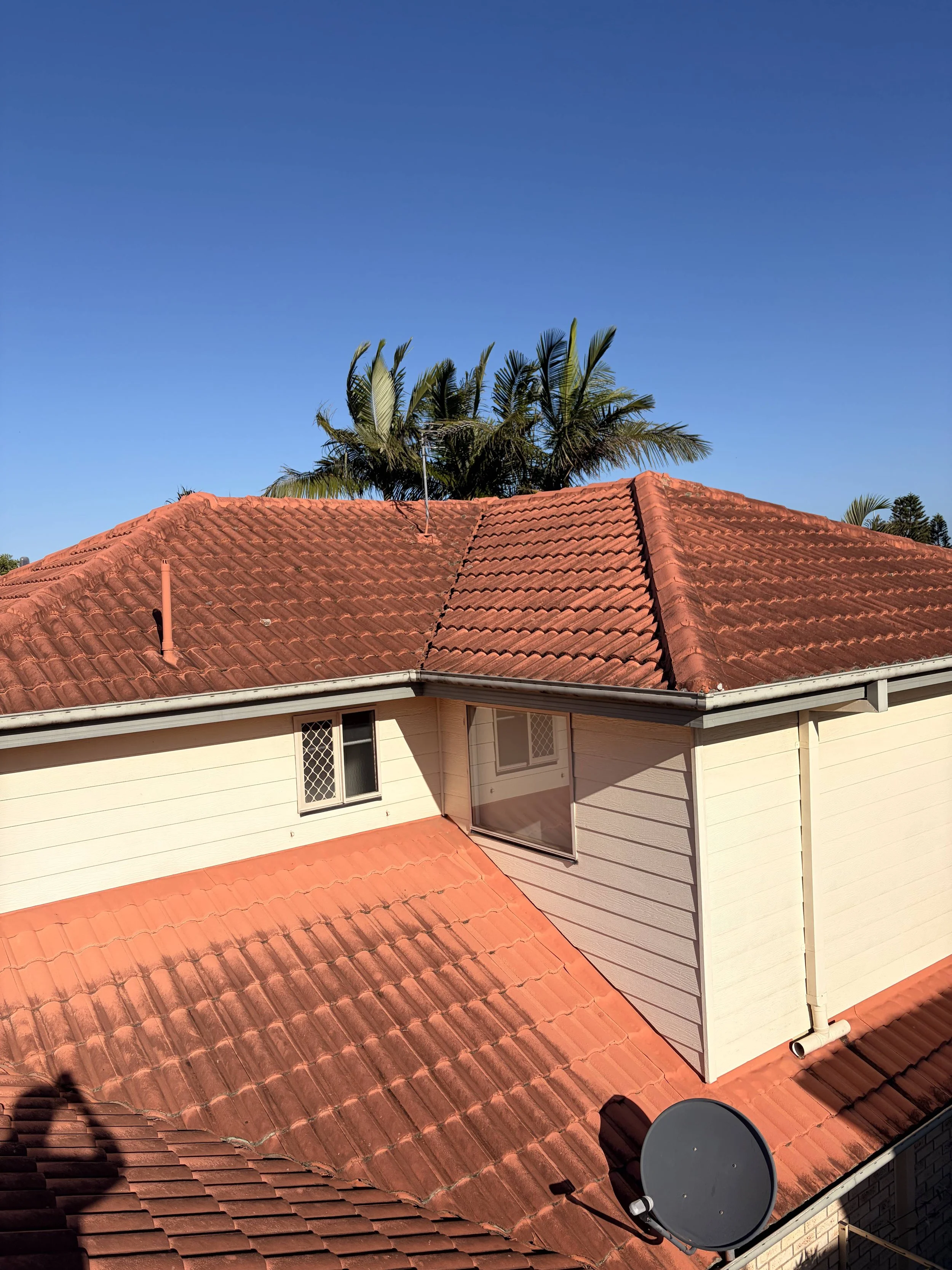 View of a house roof covered with reddish-orange tiles, with a small section of a beige house wall, a sliding glass door, and a satellite dish on the roof. Behind the house, tall palm trees and a clear blue sky are visible.