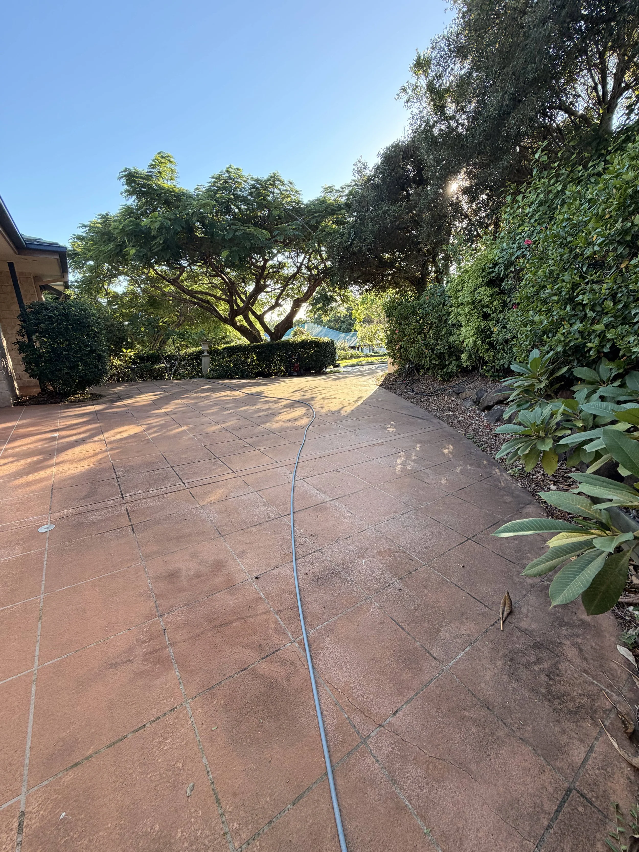 A backyard patio with brown tiled flooring, surrounded by green trees and bushes, with the sun shining through the trees on the right side of the image, and a garden hose laying across the tiles.