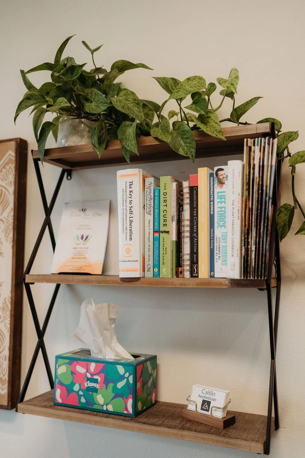 Wall shelf with green leafy plant, books on health and wellness. Roots Family Chiropractic in Sauk City Wisconsin serving Madison, Prairie du Sac, Baraboo, Cross Plains, Middleton, Waunakee, Mazomanie, and Lodi. Chiropractic care for the whole family
