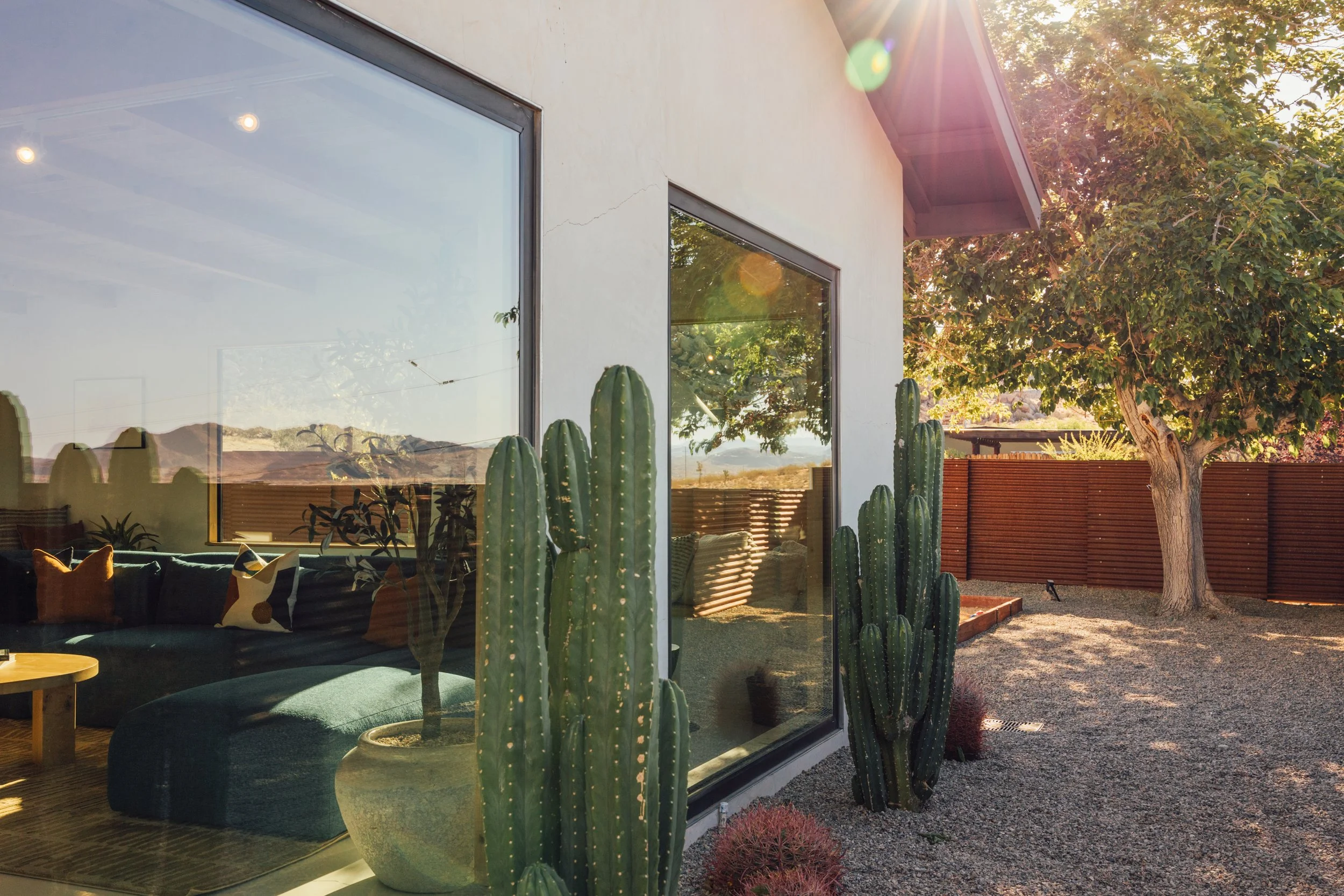 A modern house with large glass windows reflecting the sky, surrounded by desert plants including tall cacti and a tree, with sunlight creating lens flare.