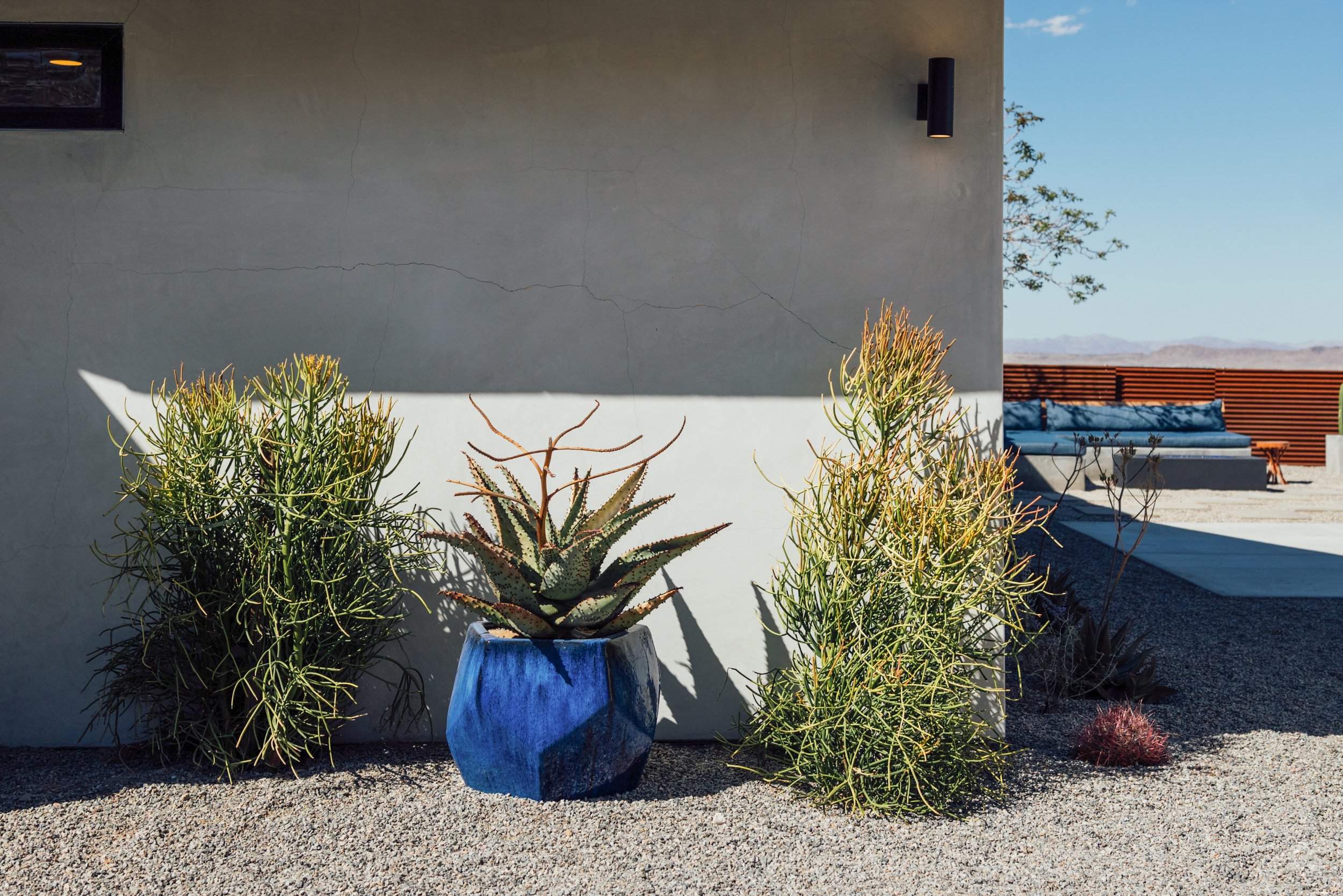 A concrete wall with visible cracks and modern black light fixtures, with desert plants in pots and a bench in the background, under a clear blue sky.