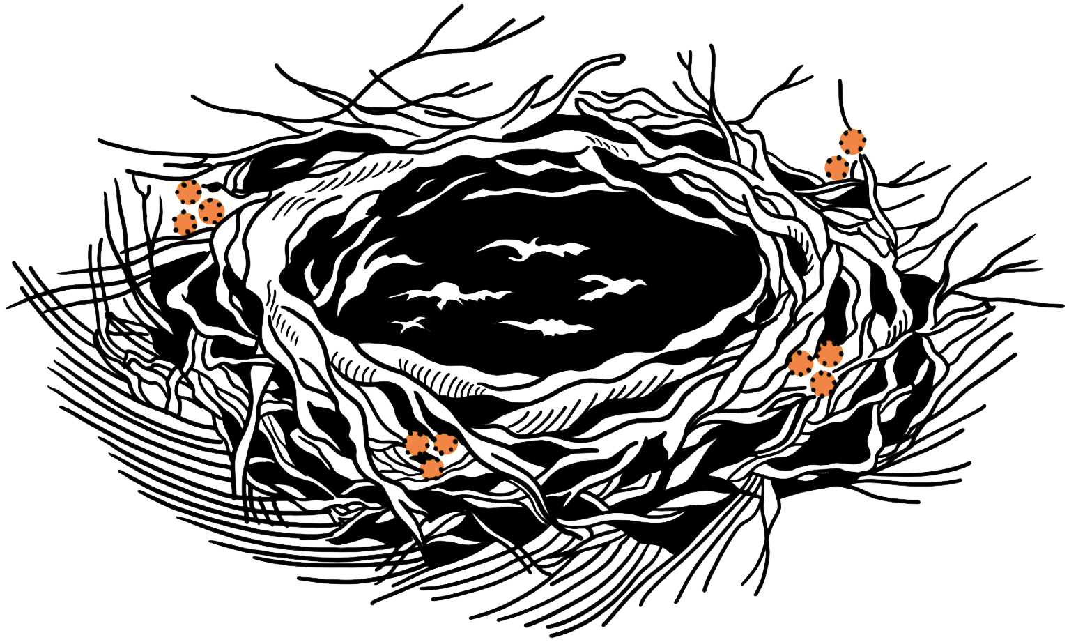 A detailed illustration of a bird's nest made of intertwined twigs with several spotted eggs inside and surrounding it.
