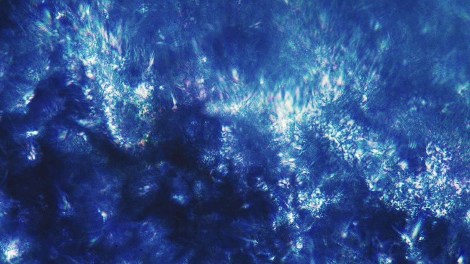 A close-up of a blue ice formation with intricate, crystalline patterns reflecting light.