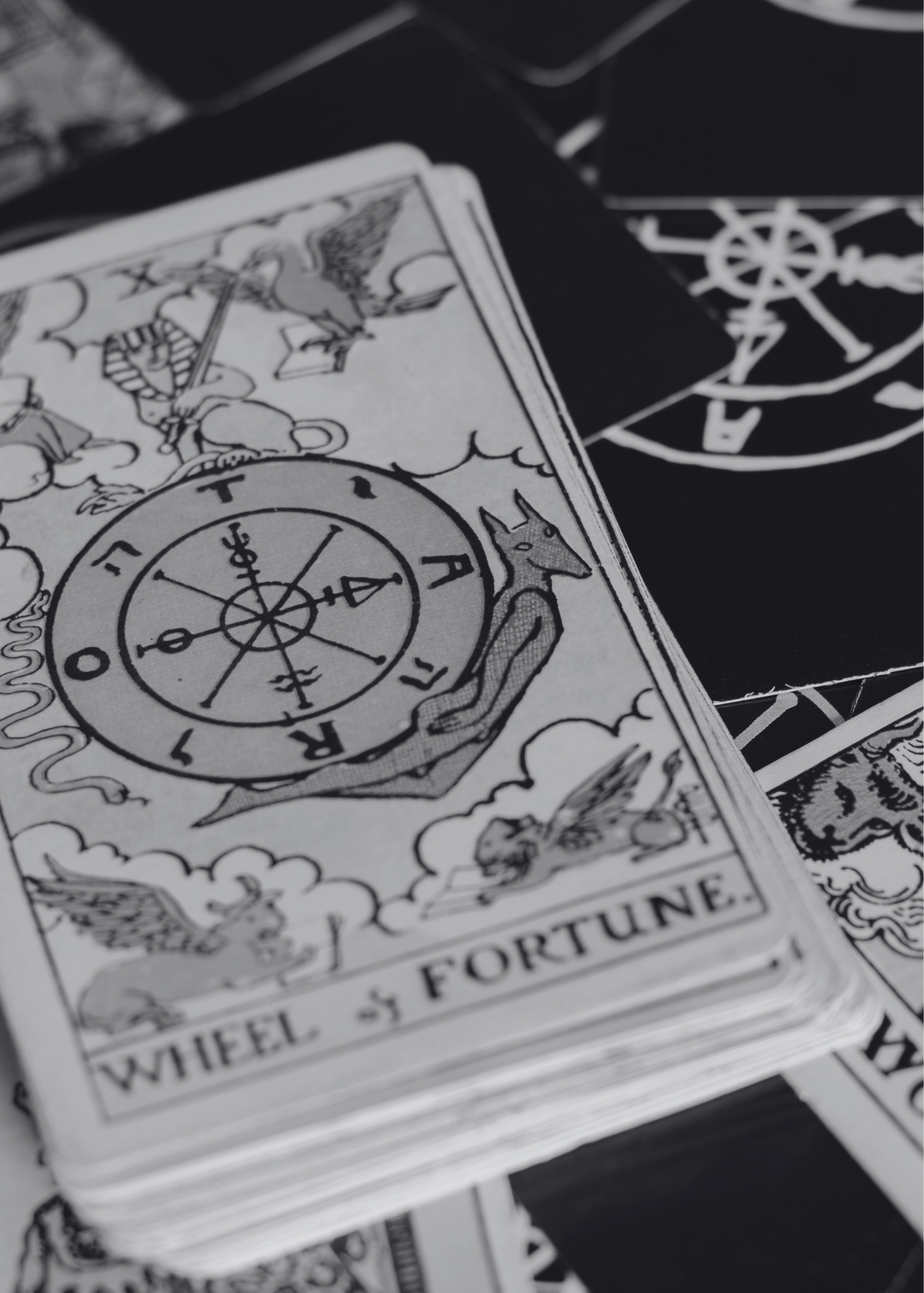 Wheel of Fortune Tarot Card