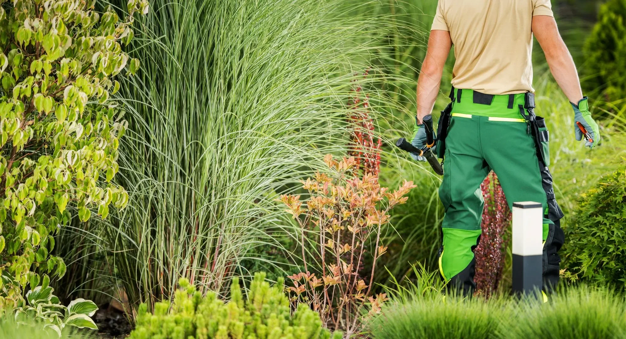 What Services Should Be Included In Commercial Maintenance