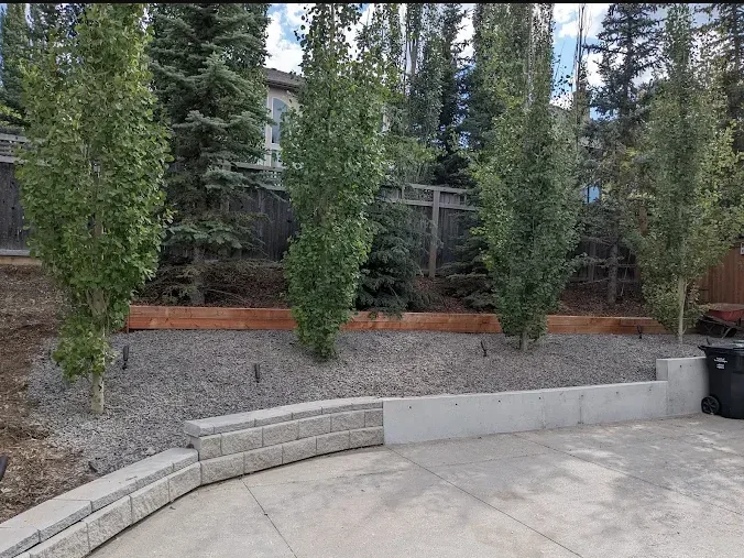 Concrete backyard with a gravel slope, a stone retaining wall, four tall trees, and a fenced yard in the foreground.
