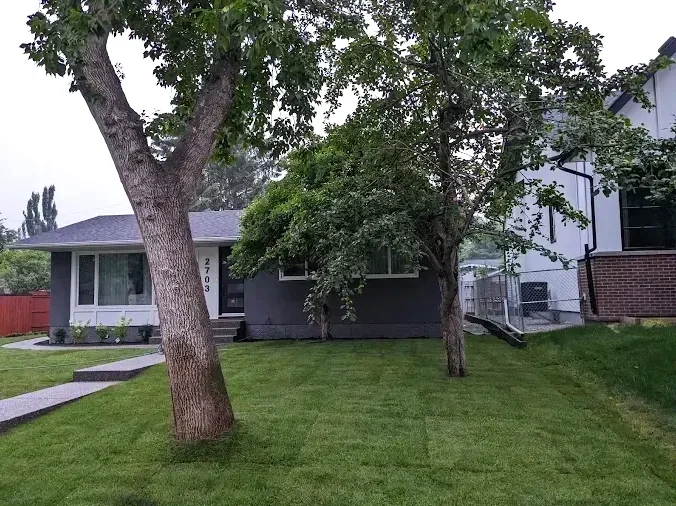 Front yard with two trees, green lawn, and a house with gray siding and large windows.