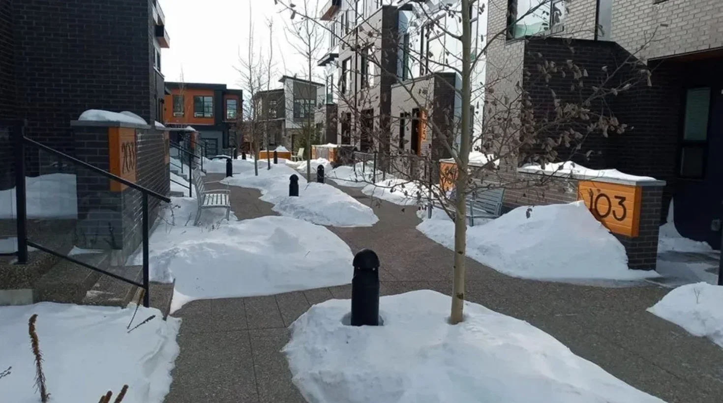 Apartment complex walkway with snow cleared off ground.  Modern buildings, leafless trees, park benches, and black bollards.