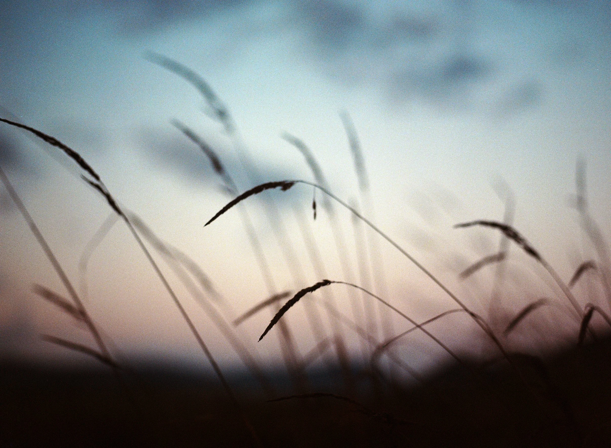 10_softness copy.jpg