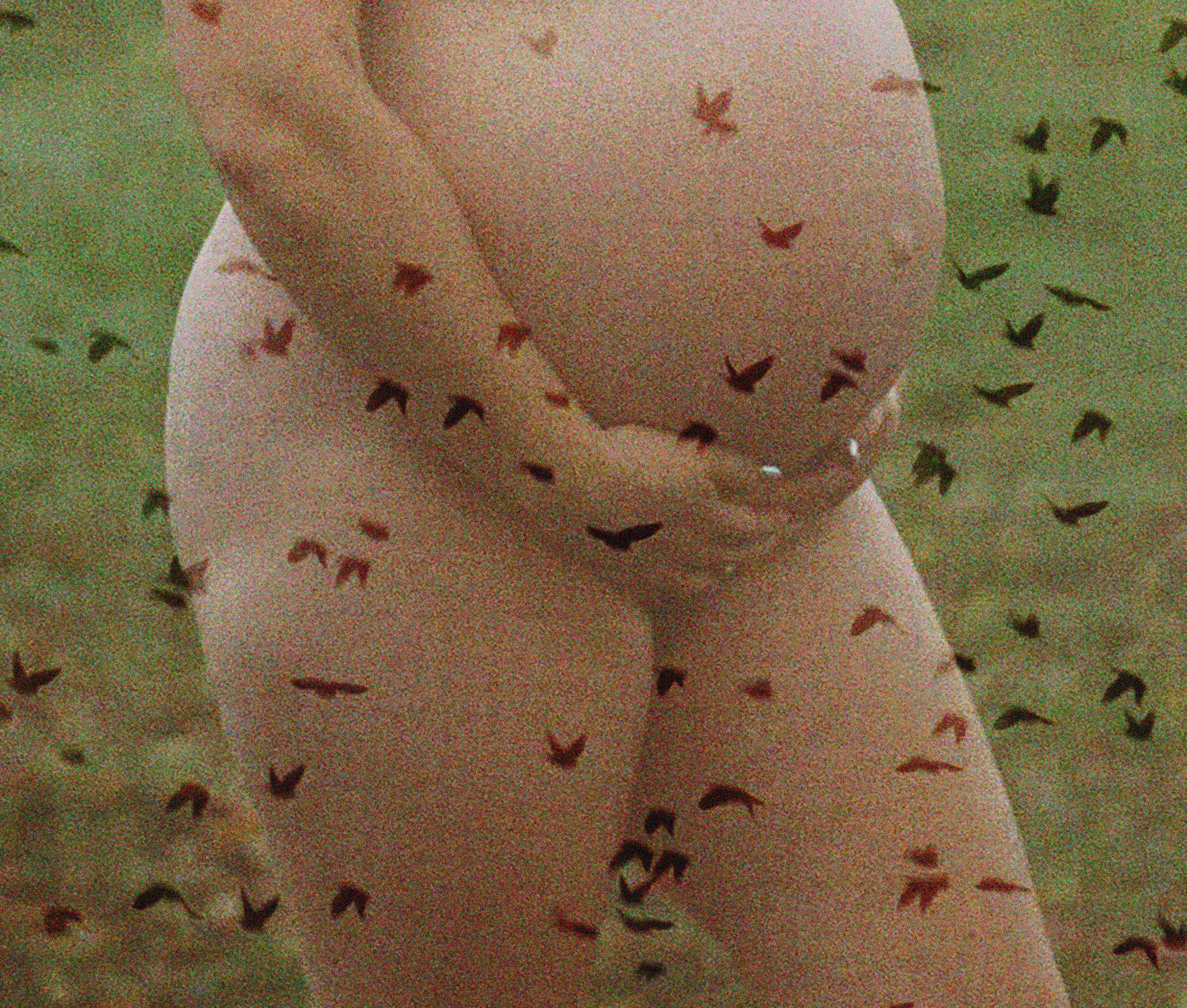20241126-27-Edit_belly.jpg
