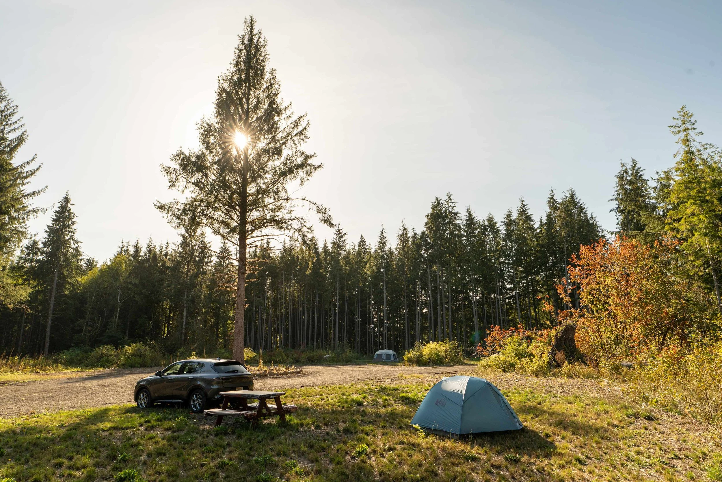 muddy-wild-campground-campsite-1-washington-coast (11).jpg
