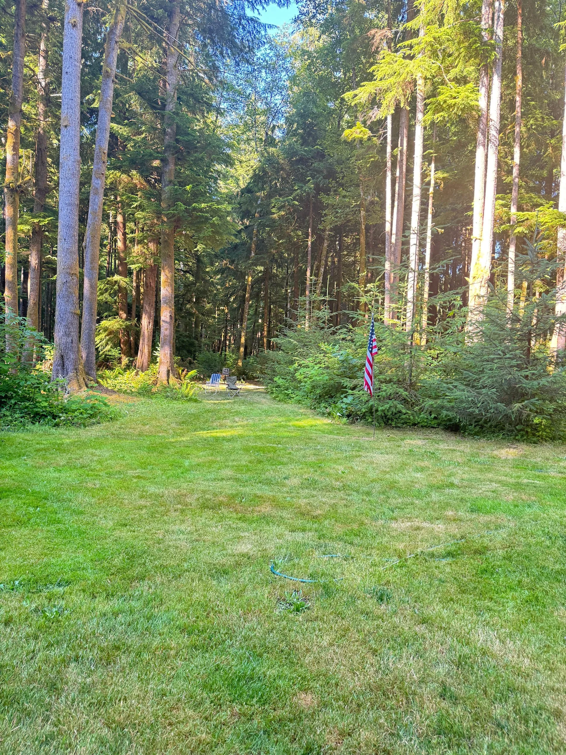 muddy-wild-campground-washington-coast.jpg