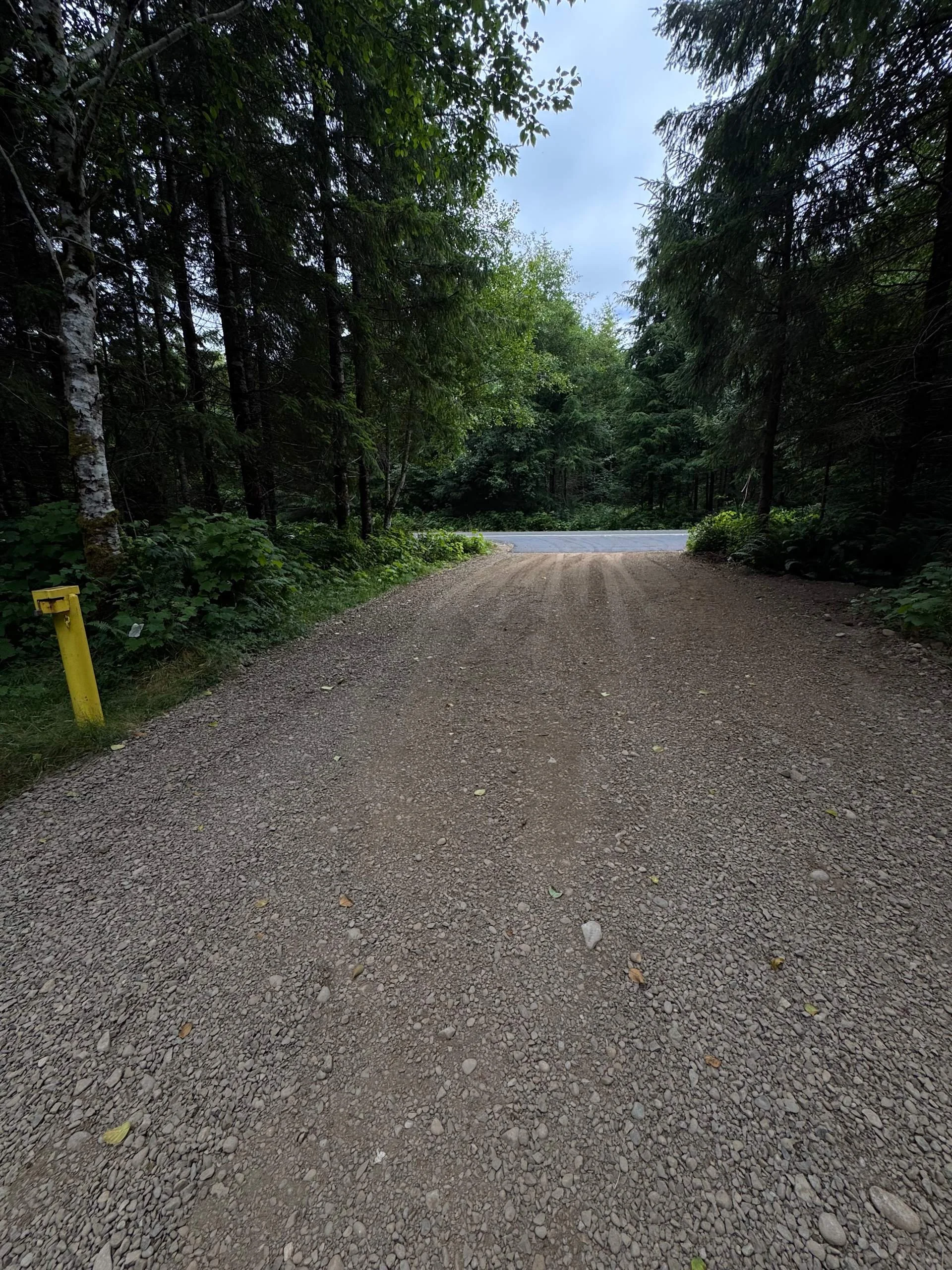 muddy-wild-campground-campsite-1-washington-coast (9).jpg