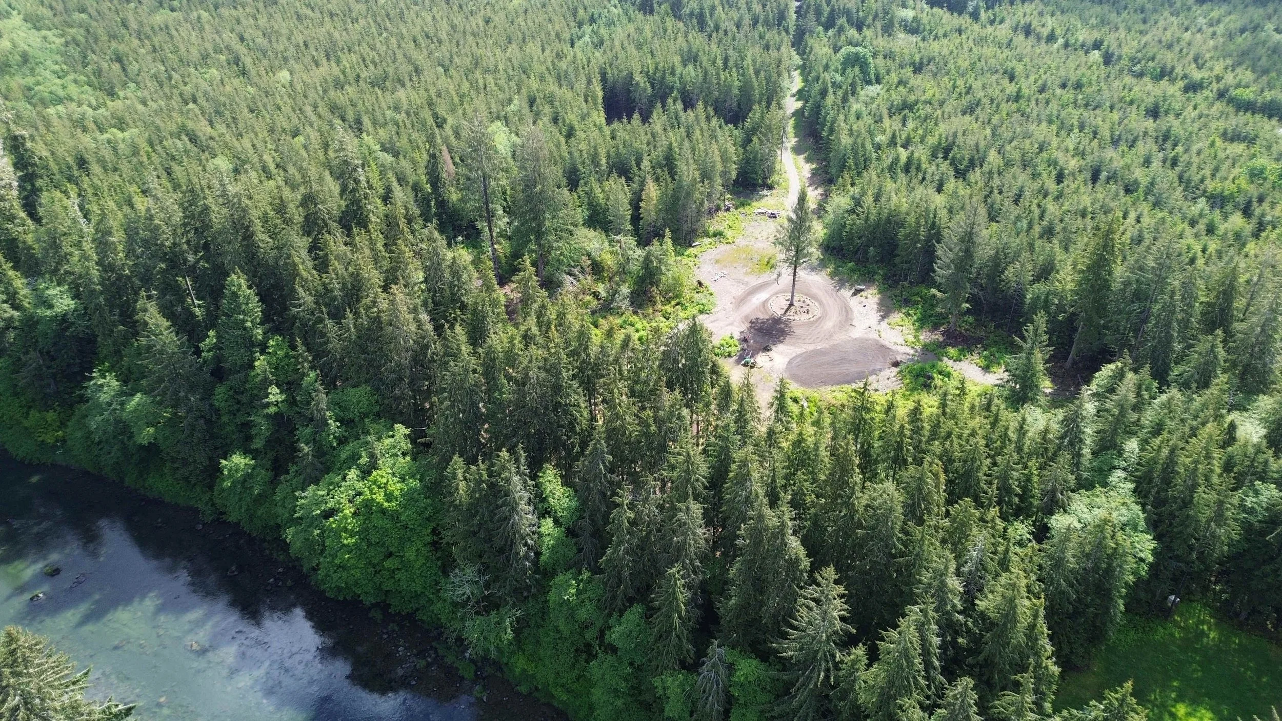 muddy-wild-campground-campsite-1-washington-coast (8).jpg