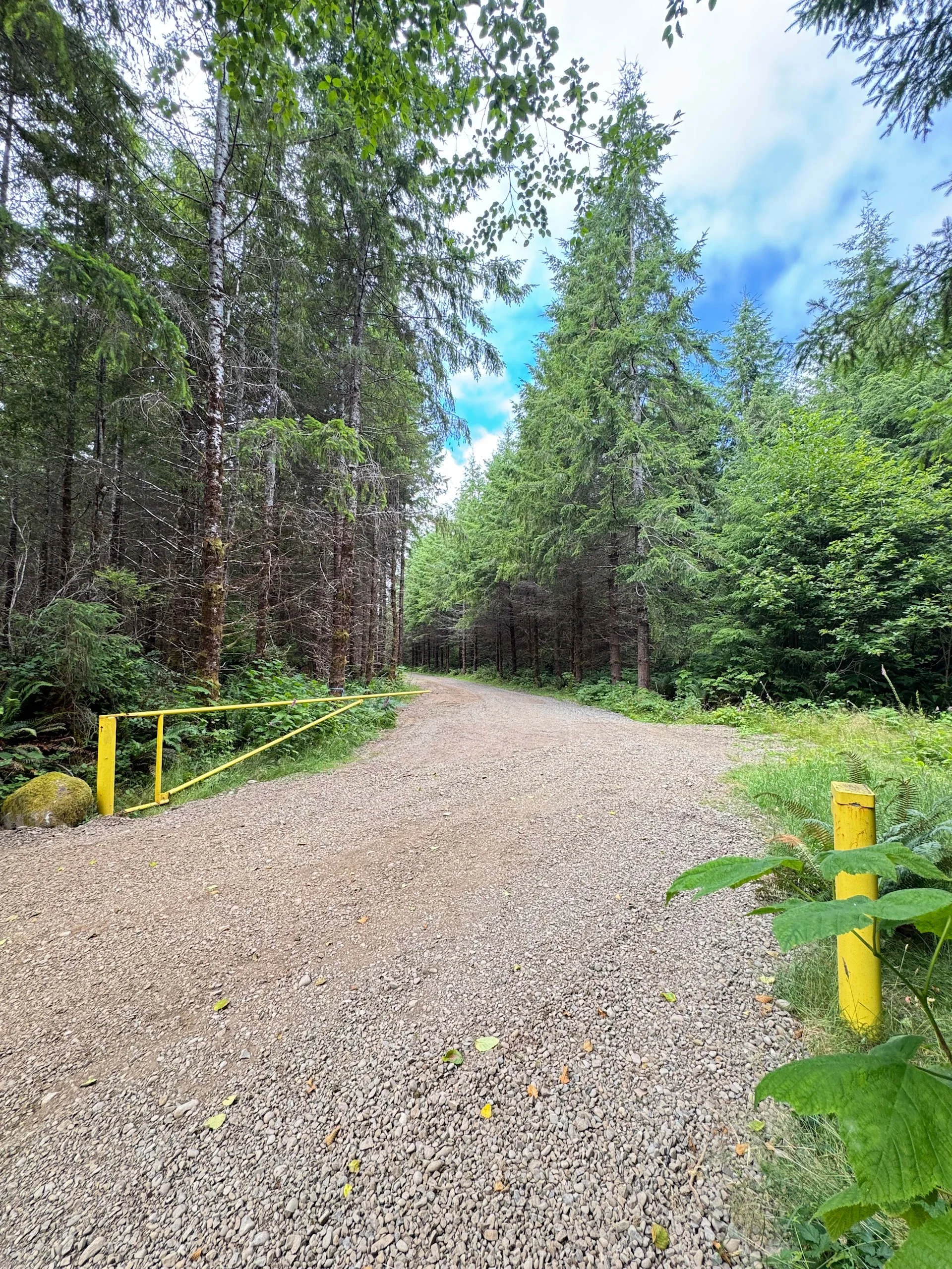 muddy-wild-campground-campsite-2-washington-coast (2).jpg