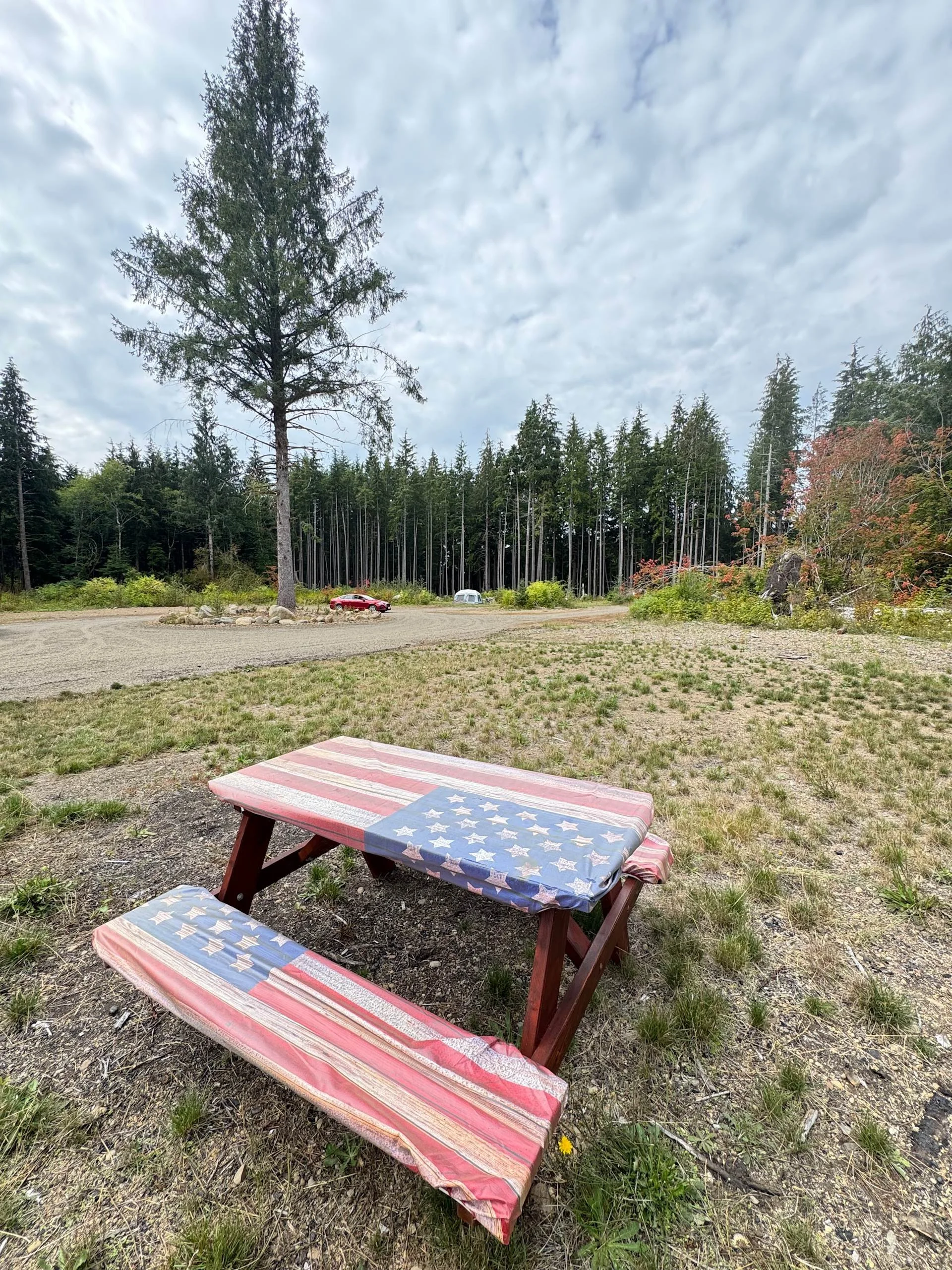 muddy-wild-campground-campsite-1-washington-coast (4).jpg