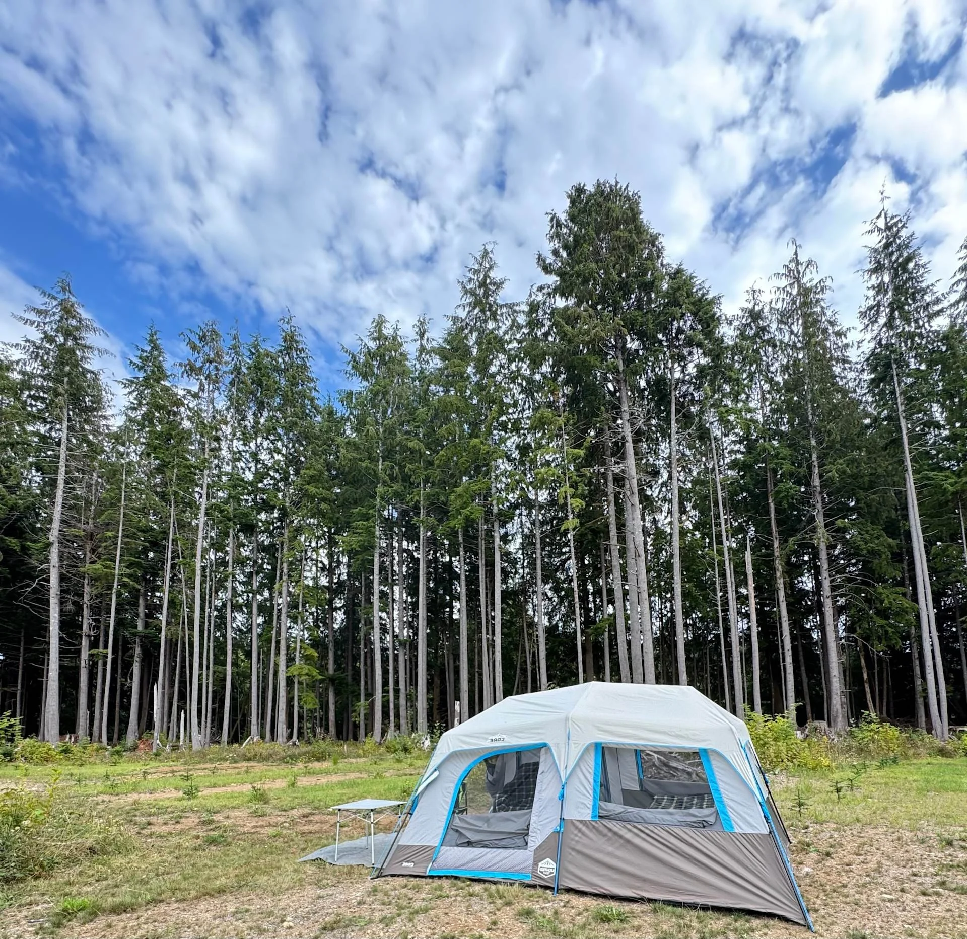 muddy-wild-campground-campsite-1-washington-coast (3).jpg