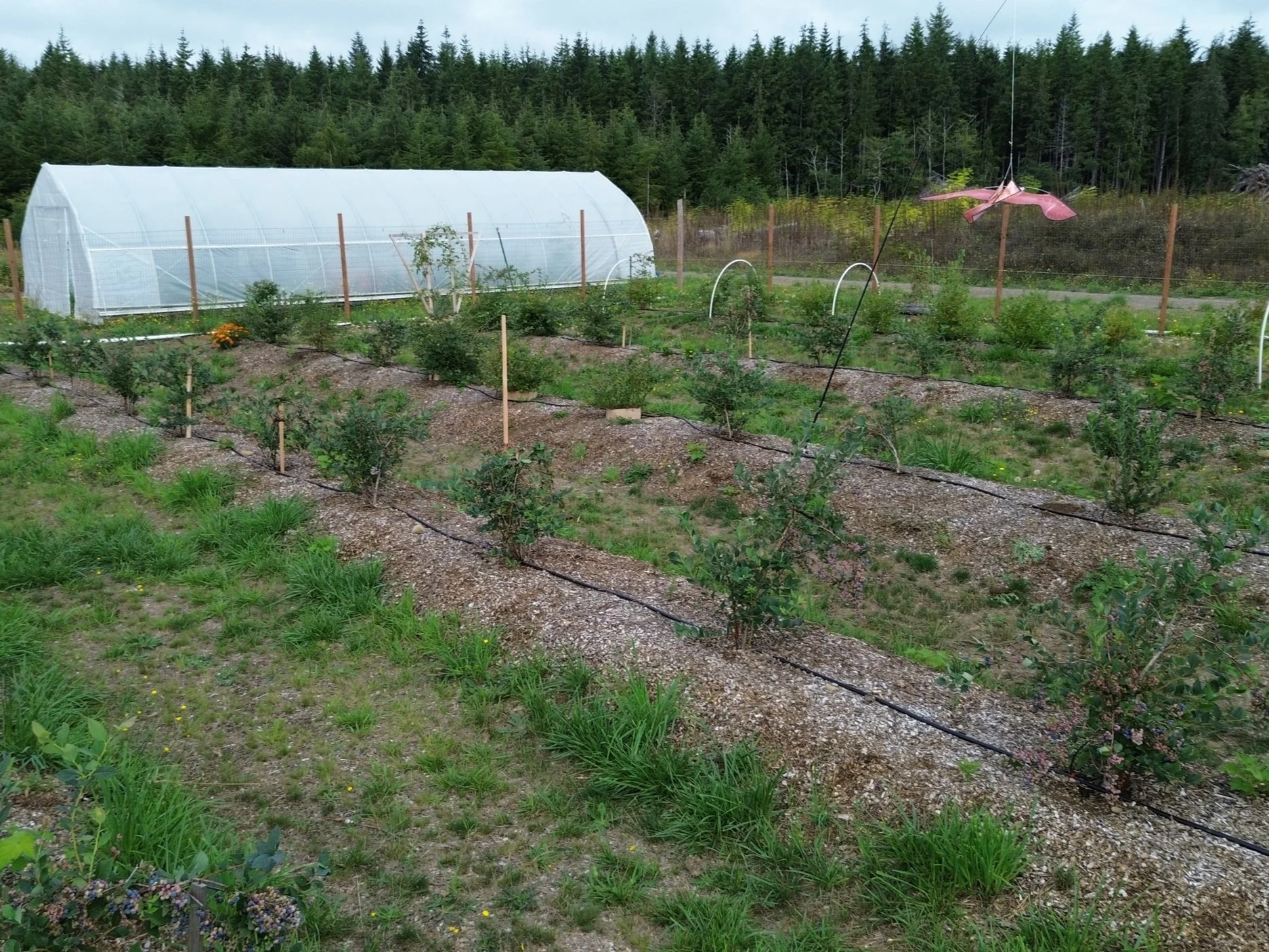 Soil making Regenerative
