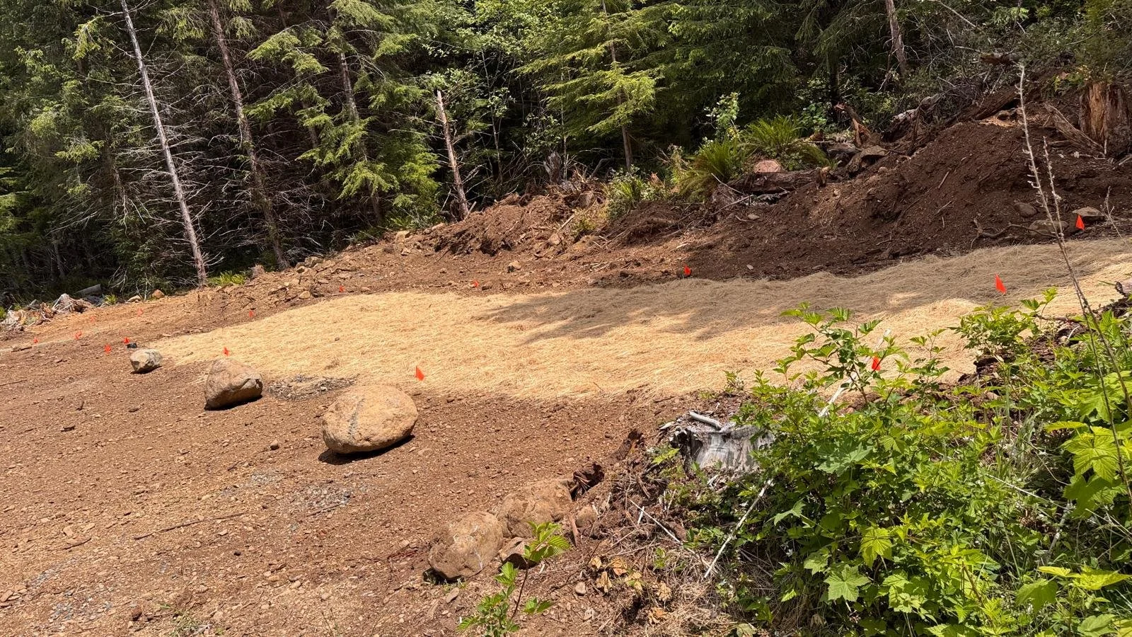 Septic Drain Field Erosion Control_2.jpeg