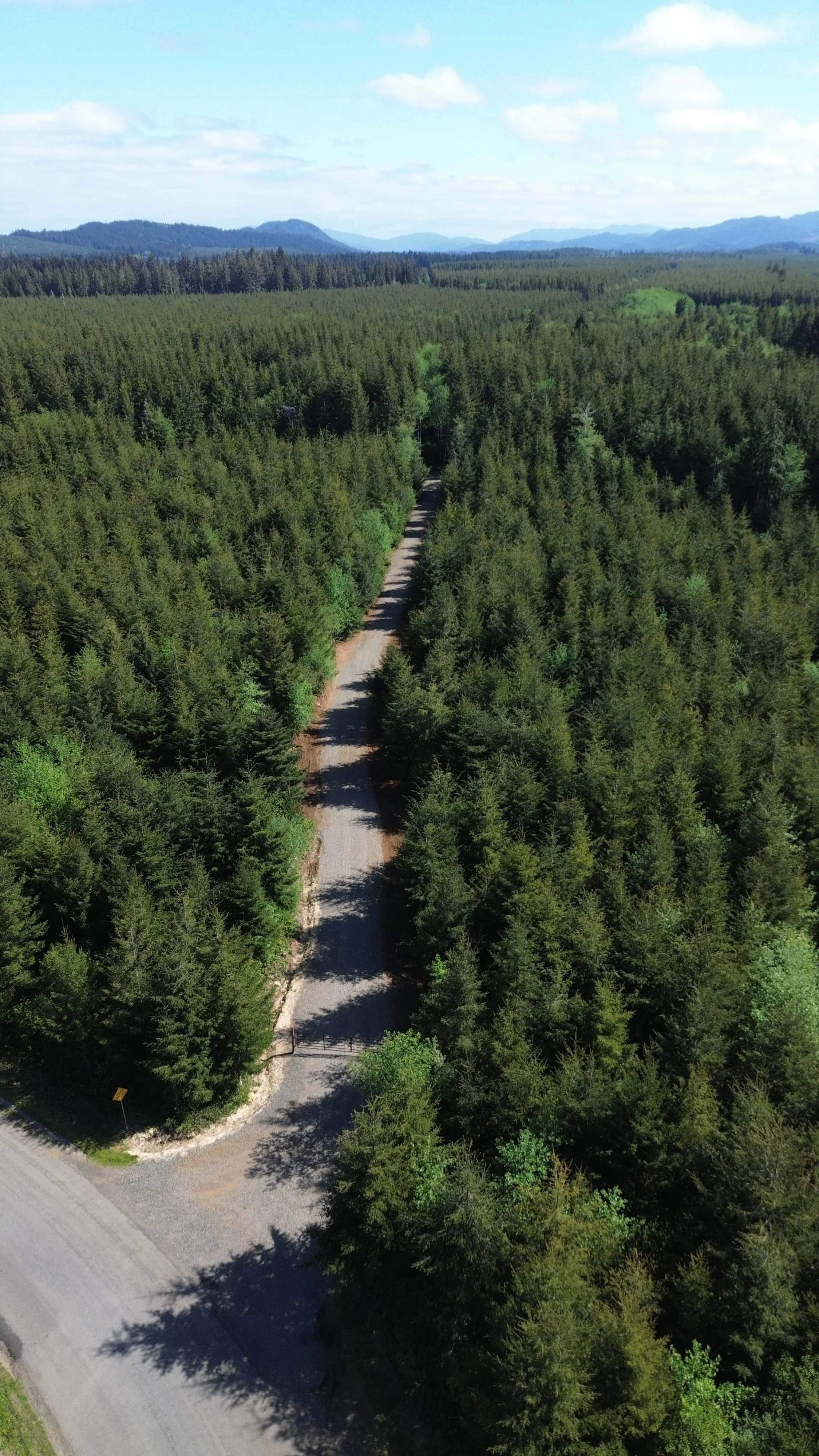 DJI_0288.JPG