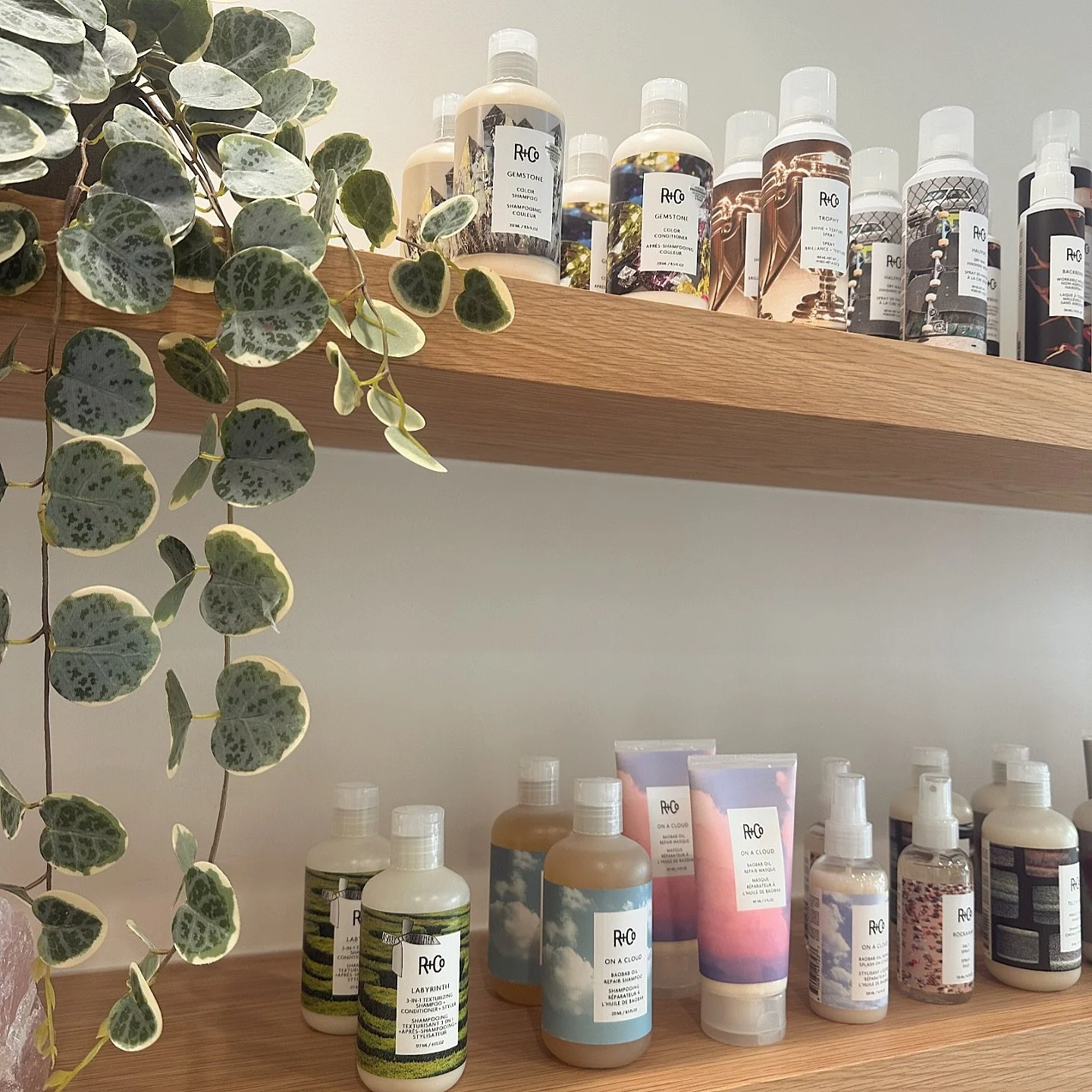 ✨ Your shelf just met its match.
Our full lineup of R+Co styling products is here and ready to transform your hair game.

Why do we love them? Because R+Co blends performance with personality&mdash;each product is vegan, cruelty-free, color-safe, and