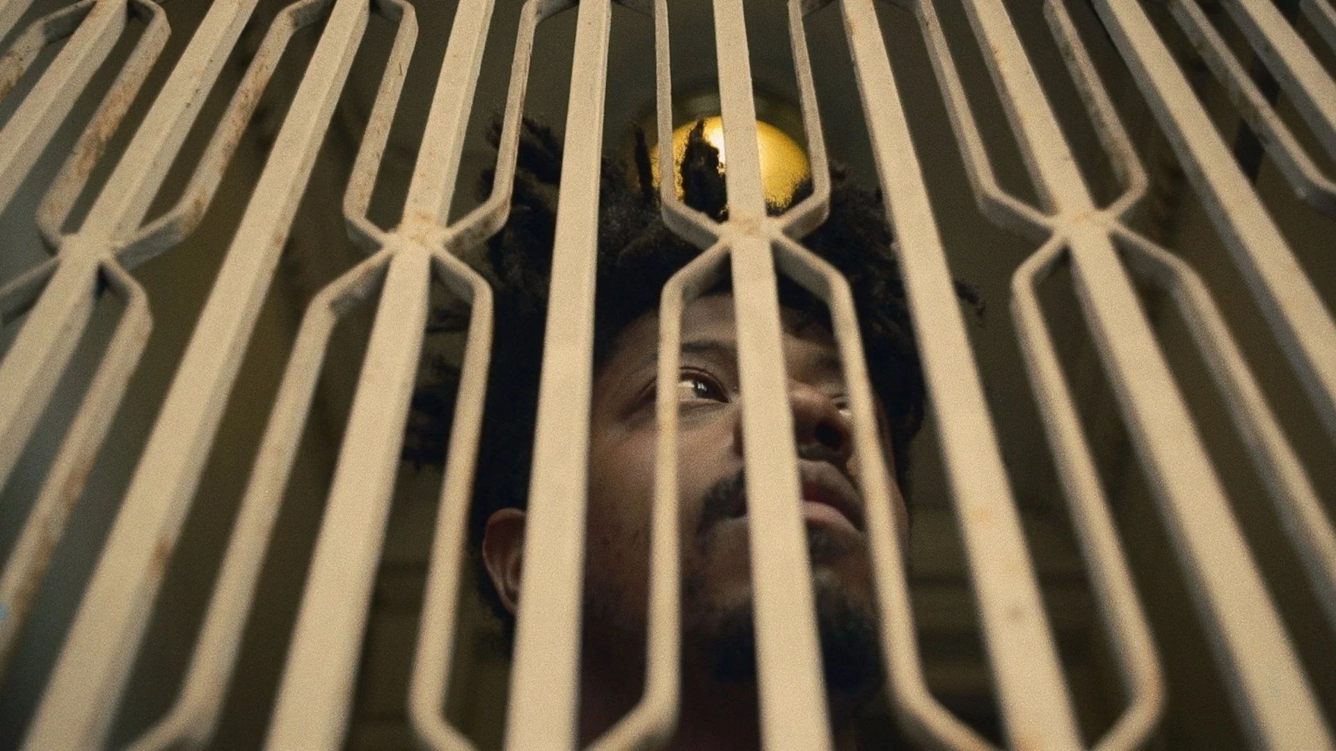 Canal Street Counterfeit - "Genuine Counterfeit"