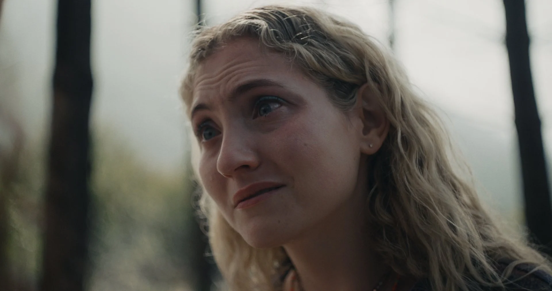 NGROMB Still V1_2.2.200.jpg