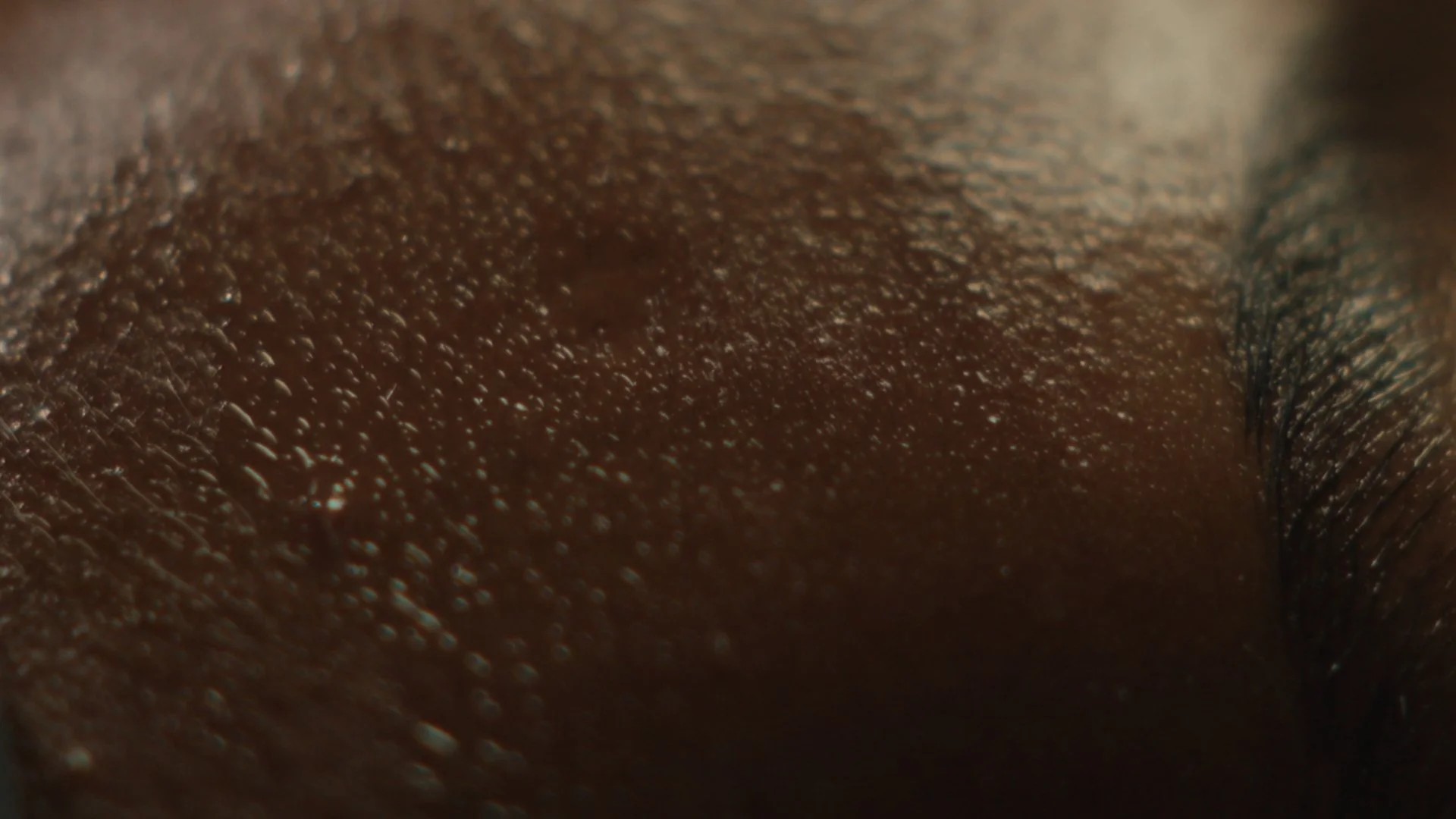 Still 2025-06-10 115914_1.1.26.jpg