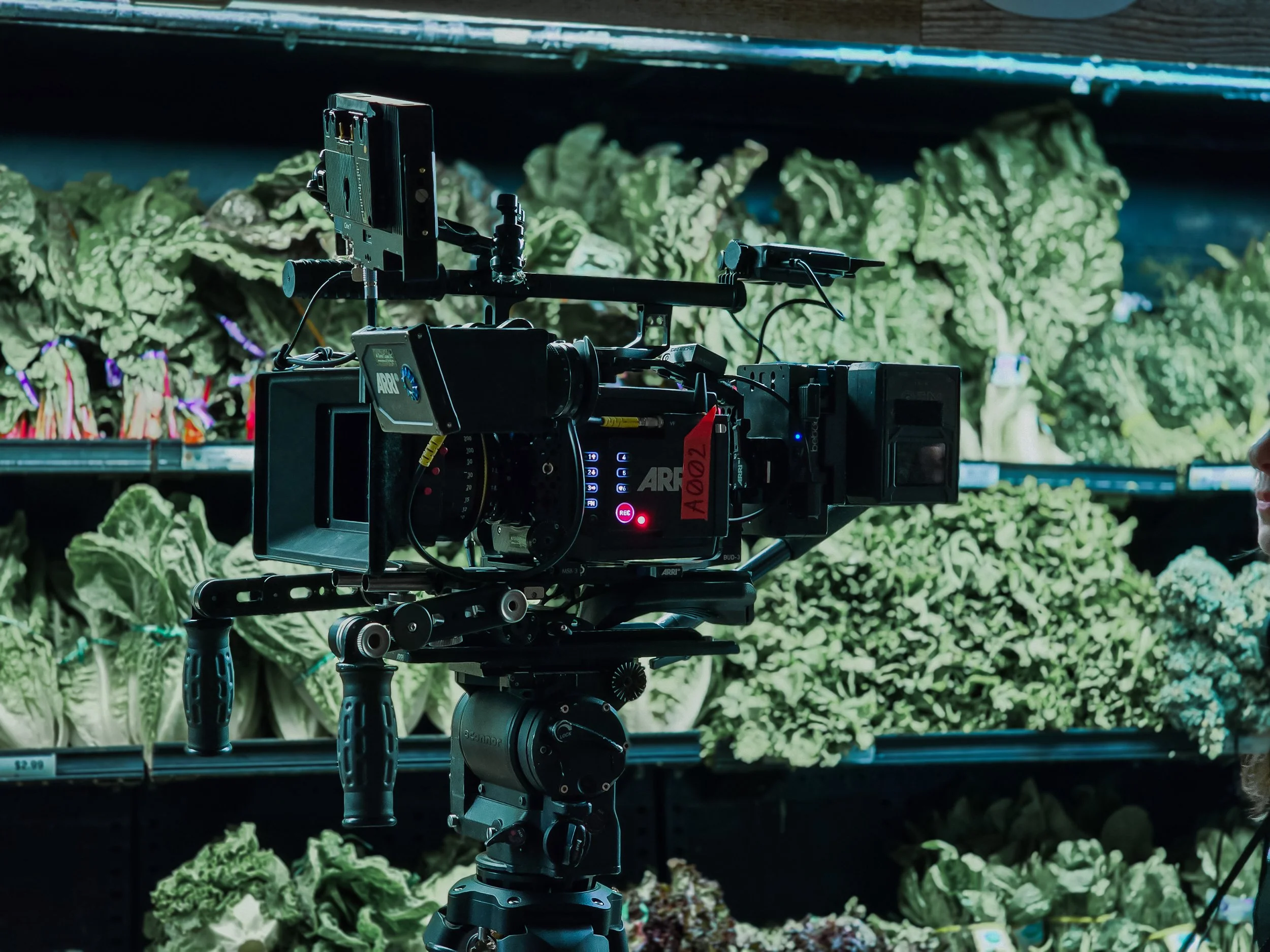 Baloon Animals BTS-053223.jpg