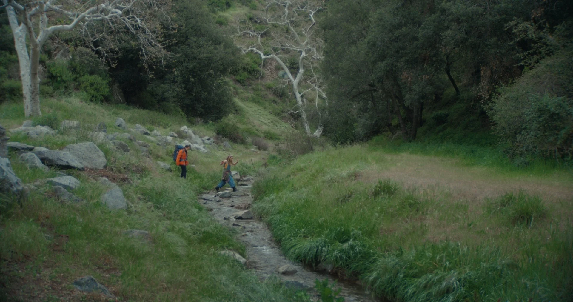 NGROMB Still V1_2.2.17.jpg